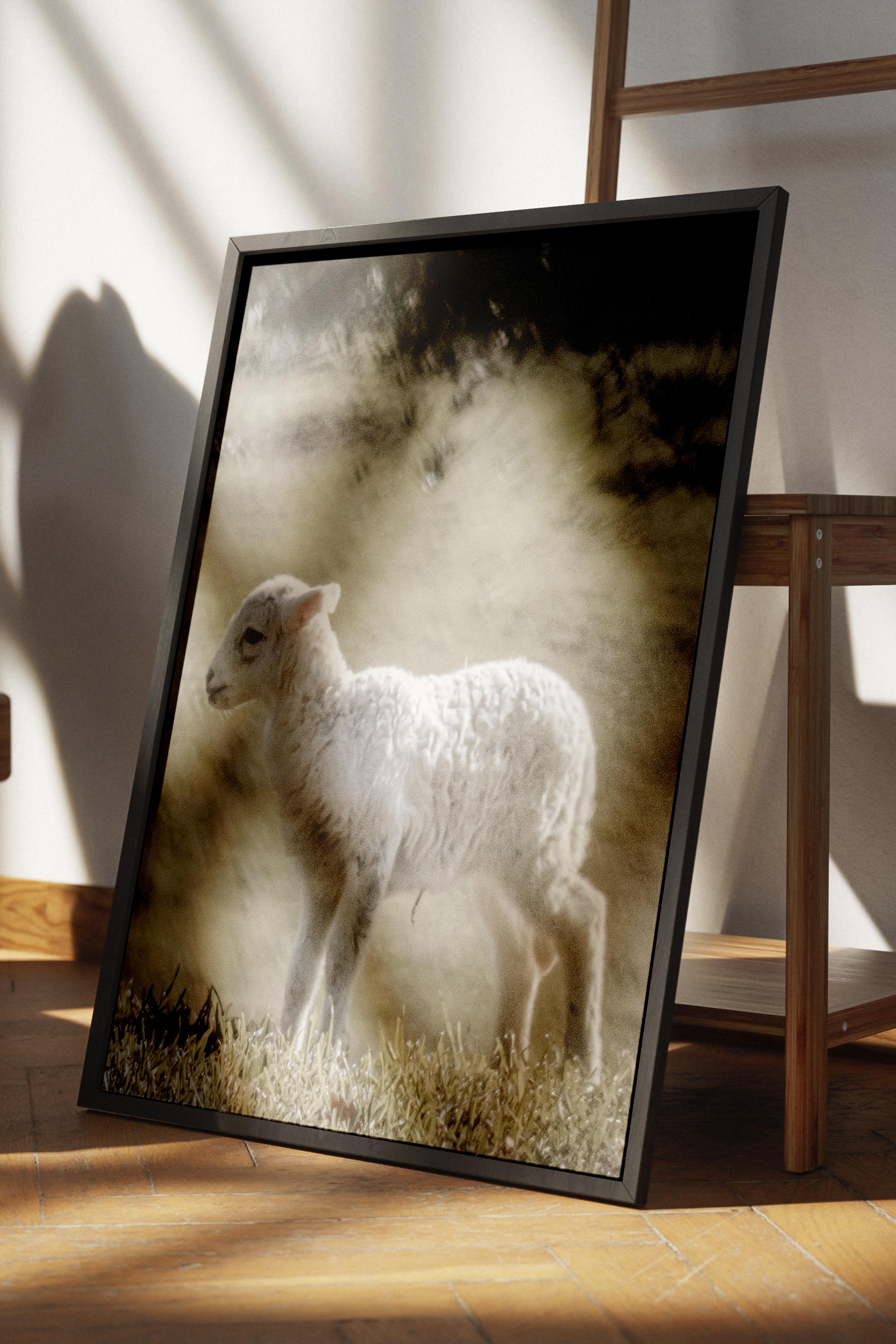 Rustic Çerçevesiz Poster, İskandinav Beyaz Poster, NO:366 Kuzu Fotoğraf, Dikey