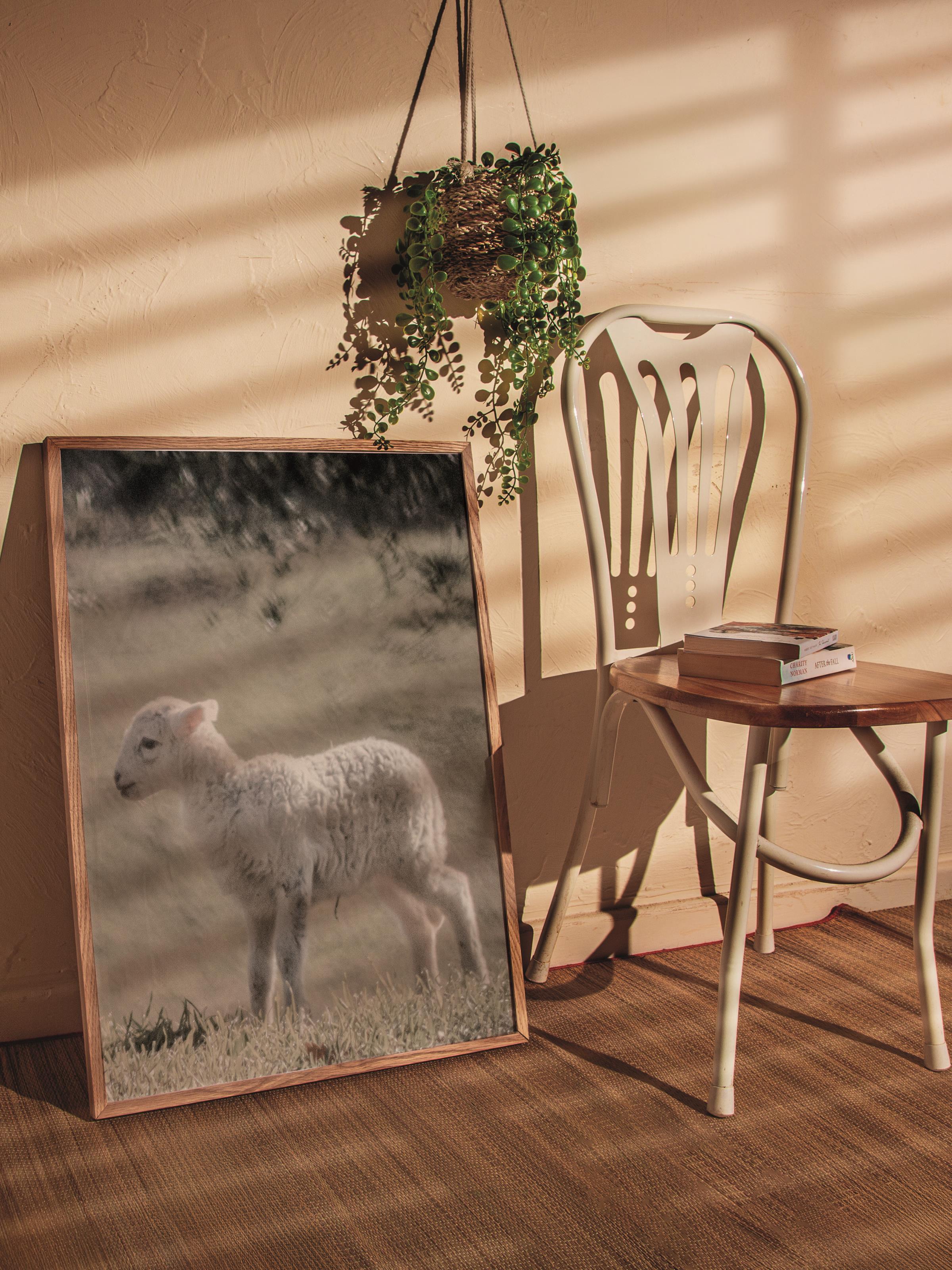 Rustic Çerçevesiz Poster, İskandinav Beyaz Poster, NO:366 Kuzu Fotoğraf, Dikey