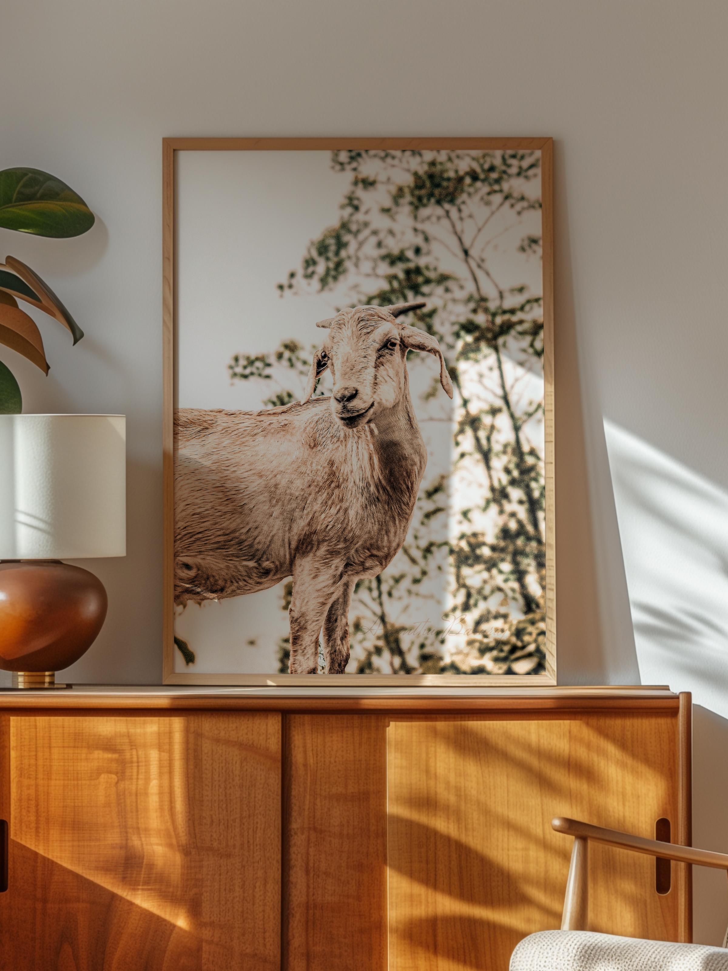 Rustic Çerçevesiz Poster, İskandinav Beyaz Poster, NO:372 Koyun Fotoğraf, Dikey