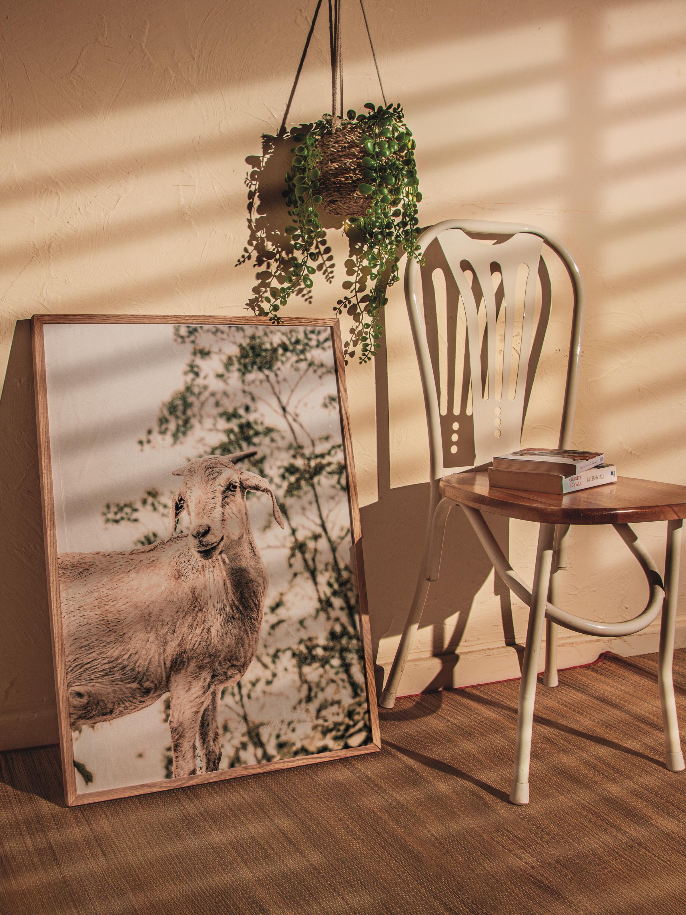 Rustic Çerçevesiz Poster, İskandinav Beyaz Poster, NO:372 Koyun Fotoğraf, Dikey