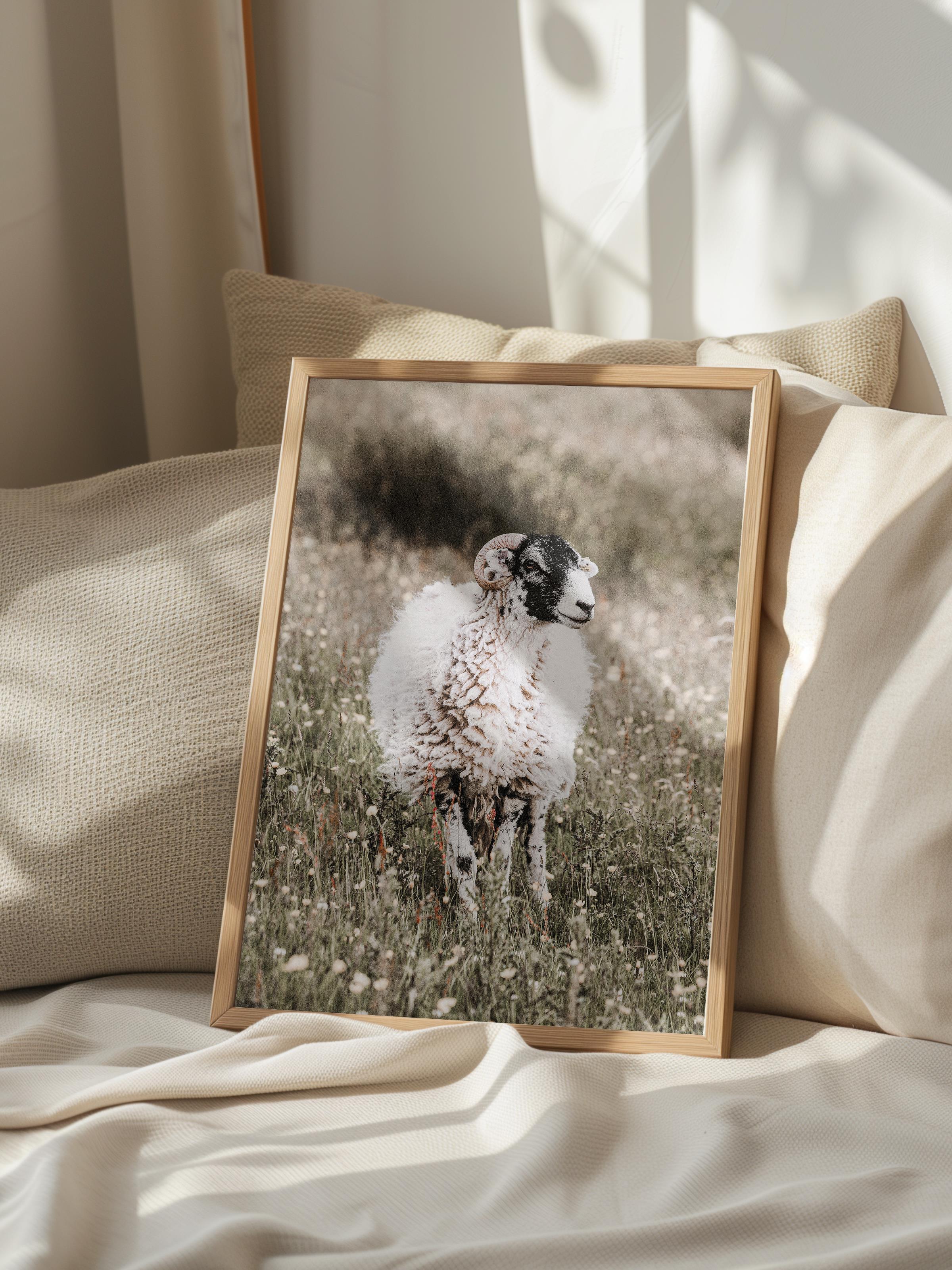 Rustic Çerçevesiz Poster, İskandinav Beyaz Poster, NO:374 Koyun Fotoğraf, Dikey
