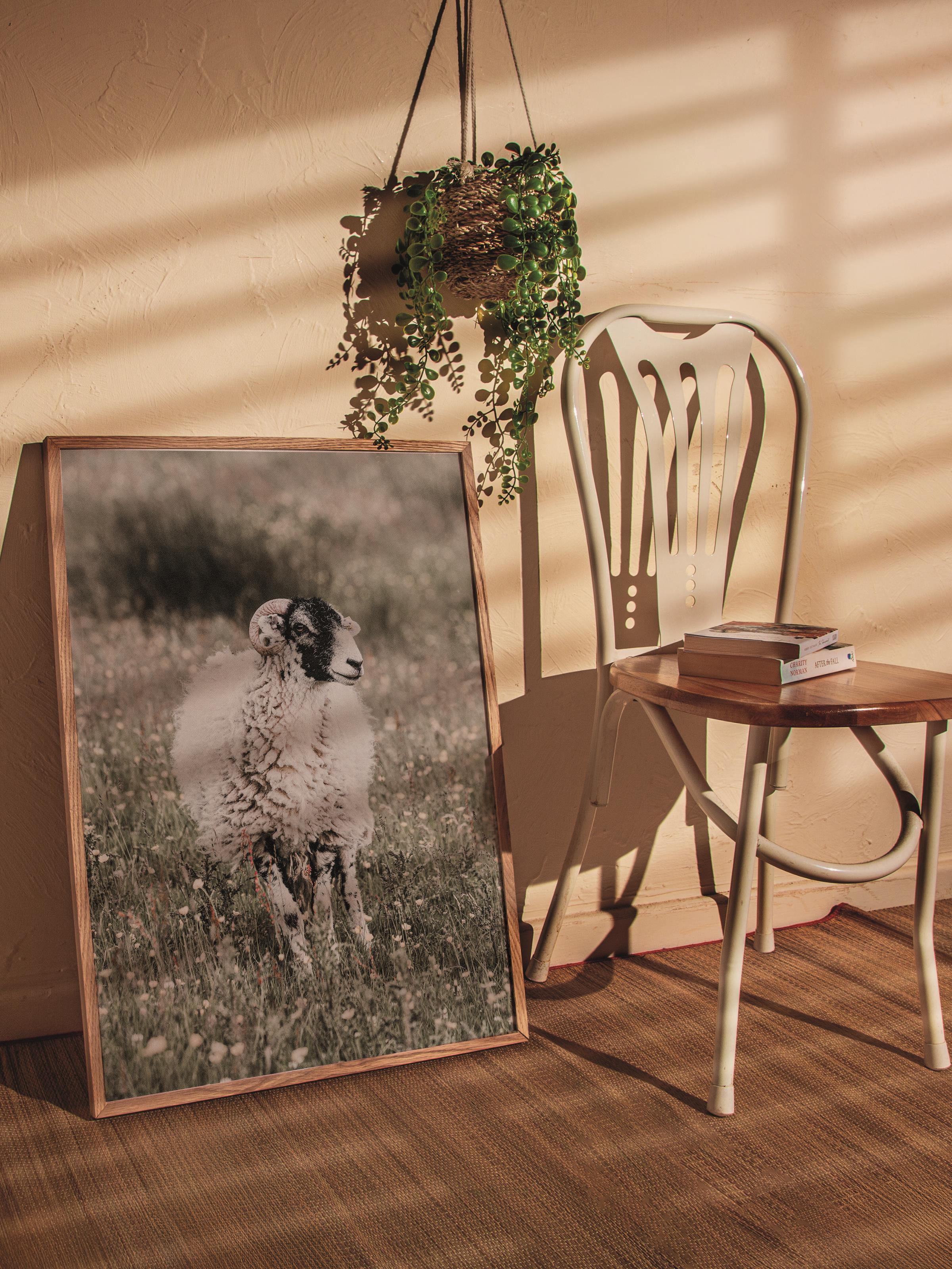 Rustic Çerçevesiz Poster, İskandinav Beyaz Poster, NO:374 Koyun Fotoğraf, Dikey