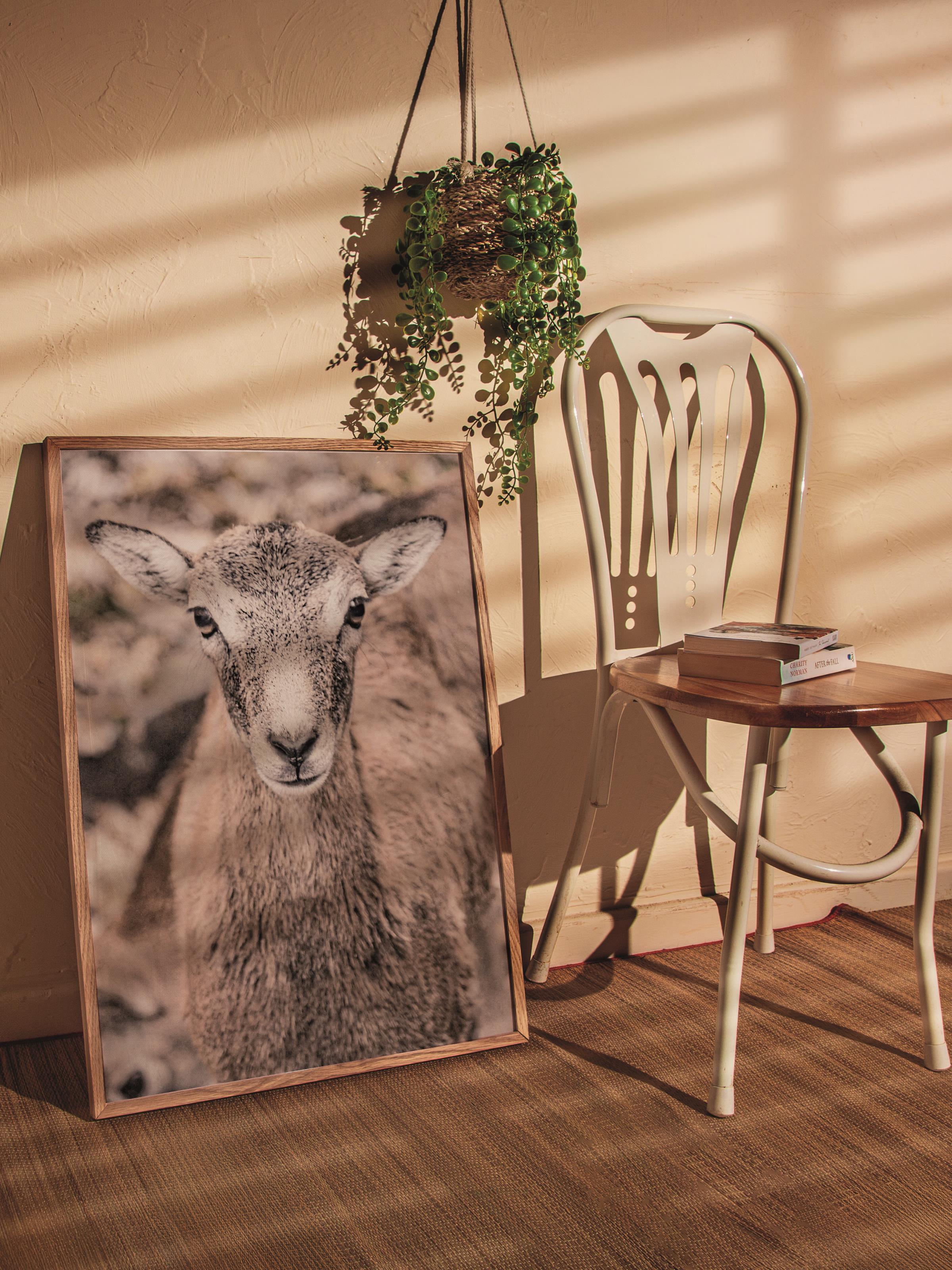 Rustic Çerçevesiz Poster, İskandinav Beyaz Poster, NO:377 Koyun Fotoğraf, Dikey