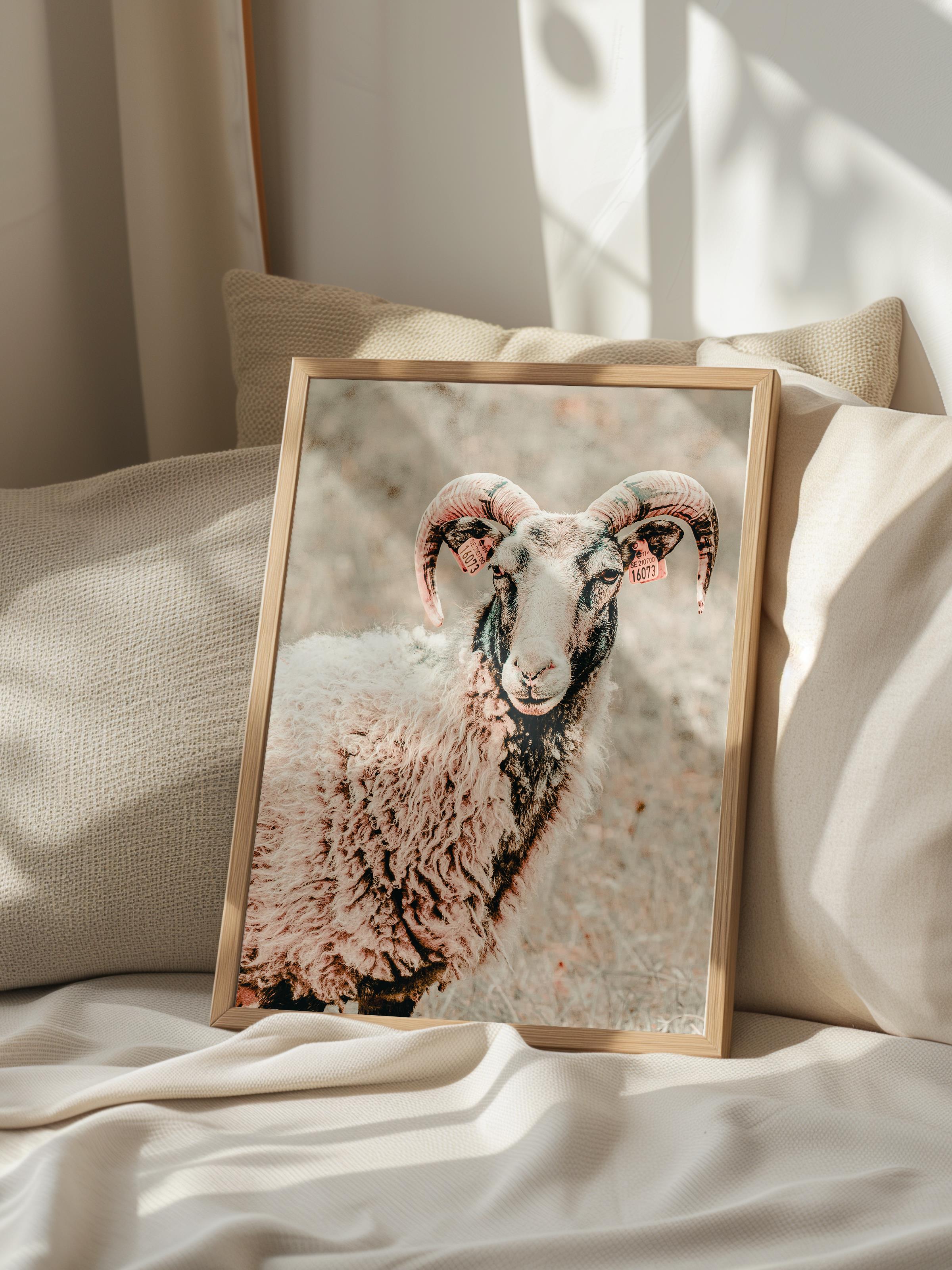 Rustic Çerçevesiz Poster, İskandinav Beyaz Poster, NO:385 Koyun Fotoğraf, Dikey