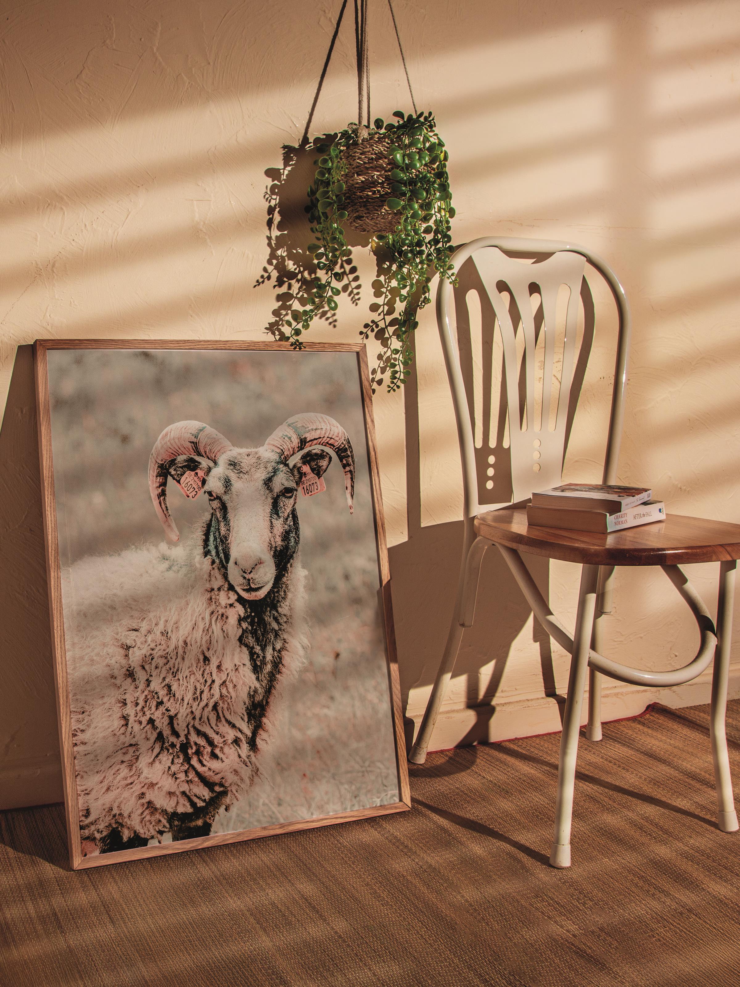 Rustic Çerçevesiz Poster, İskandinav Beyaz Poster, NO:385 Koyun Fotoğraf, Dikey