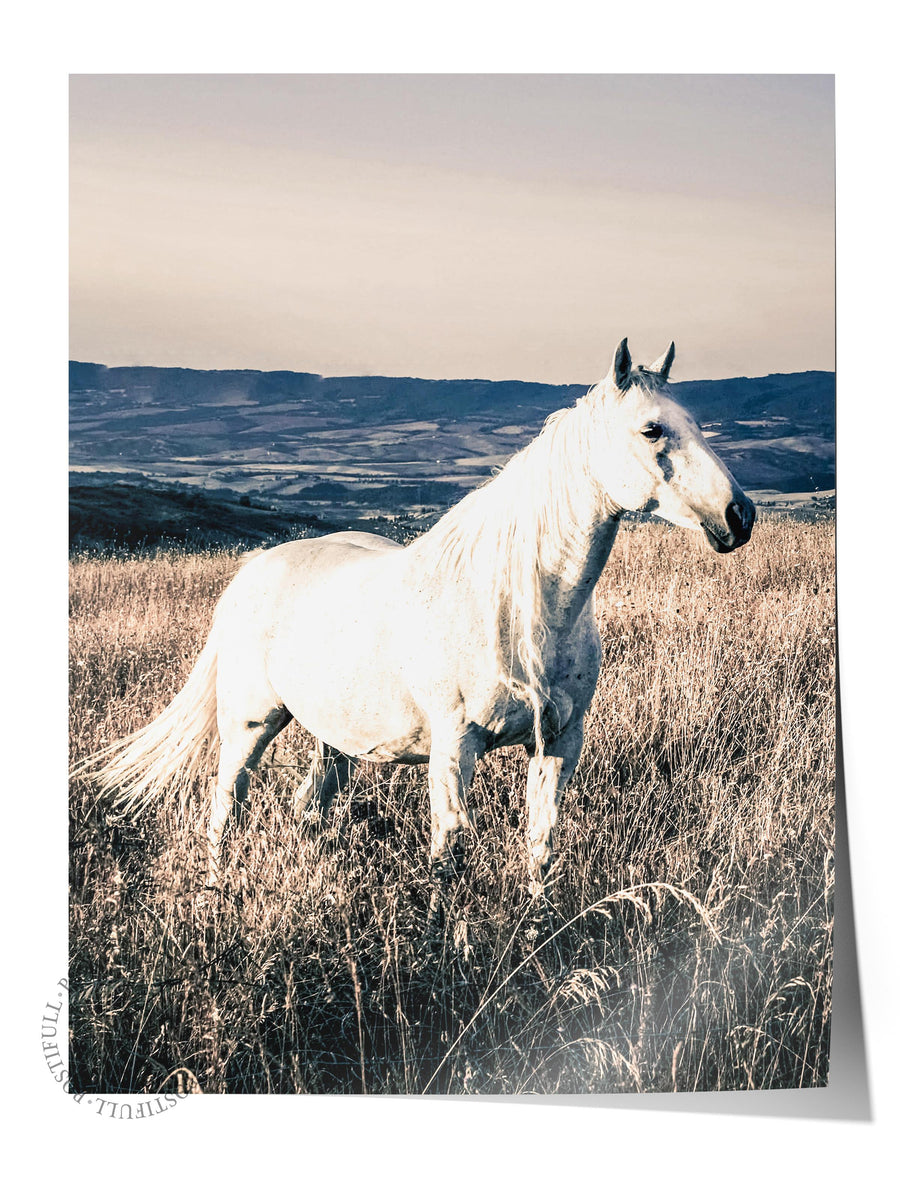 Doğada At Rustic Çerçevesiz Poster