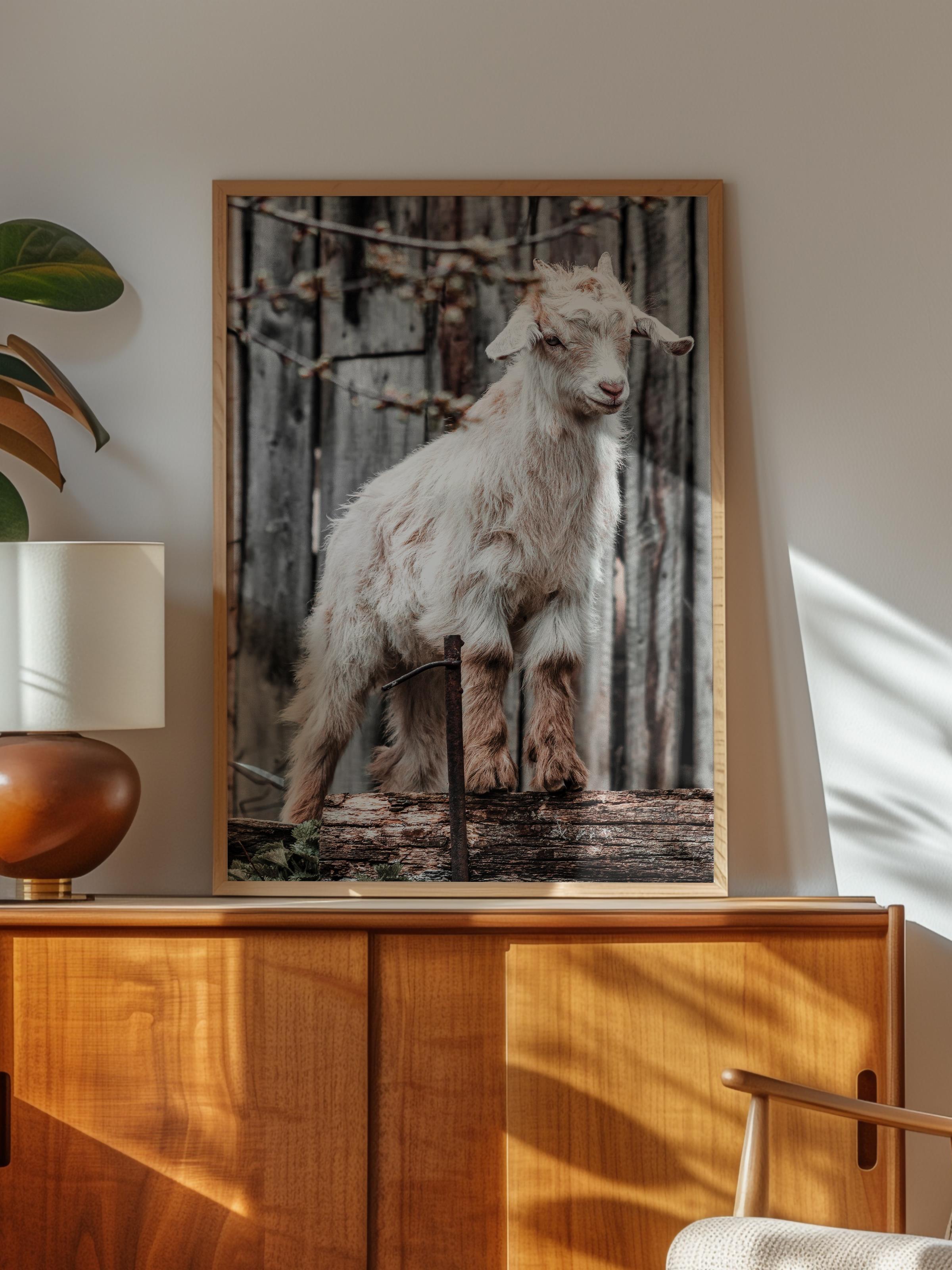 Rustic Çerçevesiz Poster, İskandinav Beyaz Poster, NO:388 Keçi Fotoğraf, Dikey