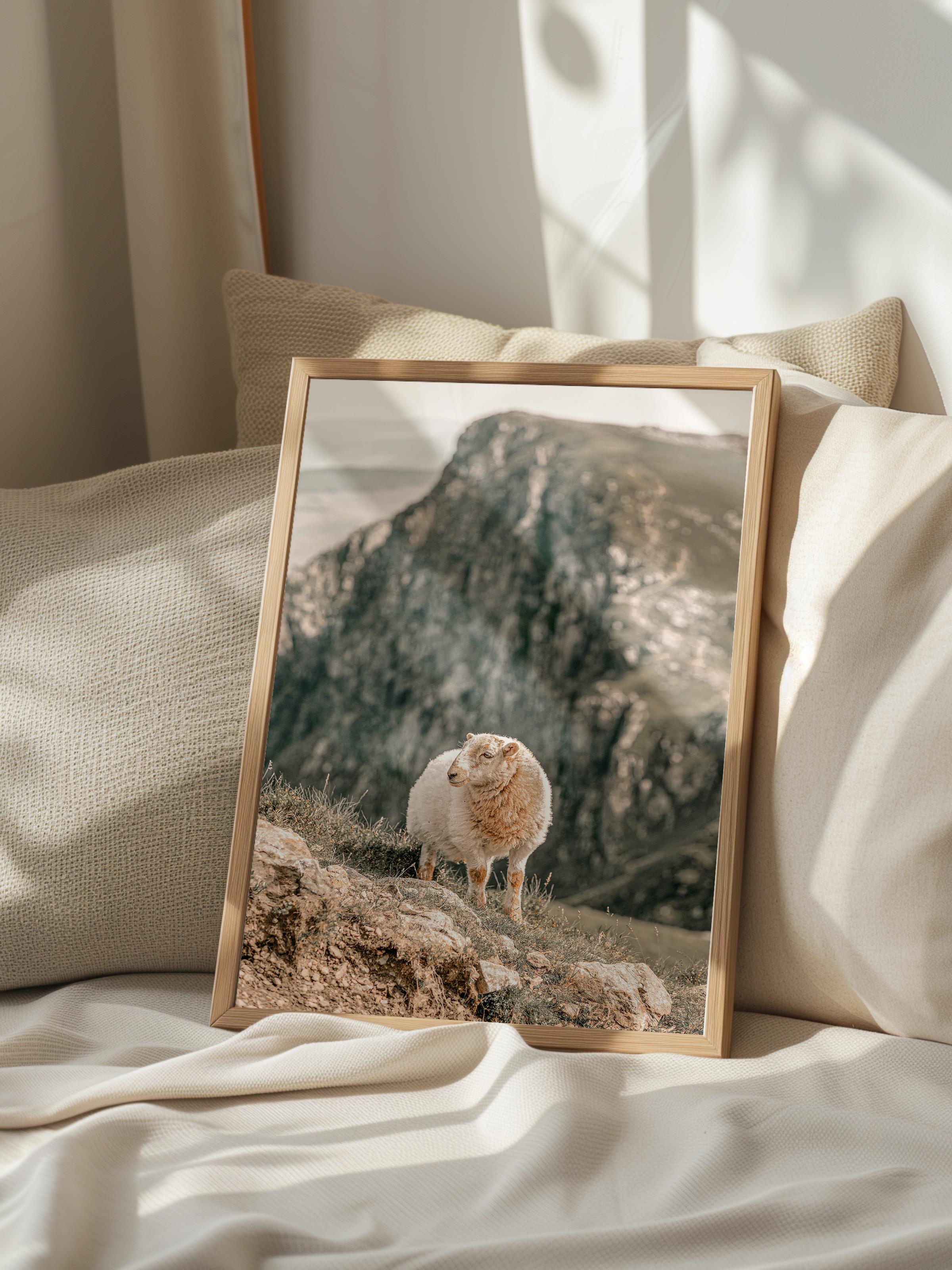 Rustic Çerçevesiz Poster, İskandinav Beyaz Poster, NO:395 Koyun Fotoğraf