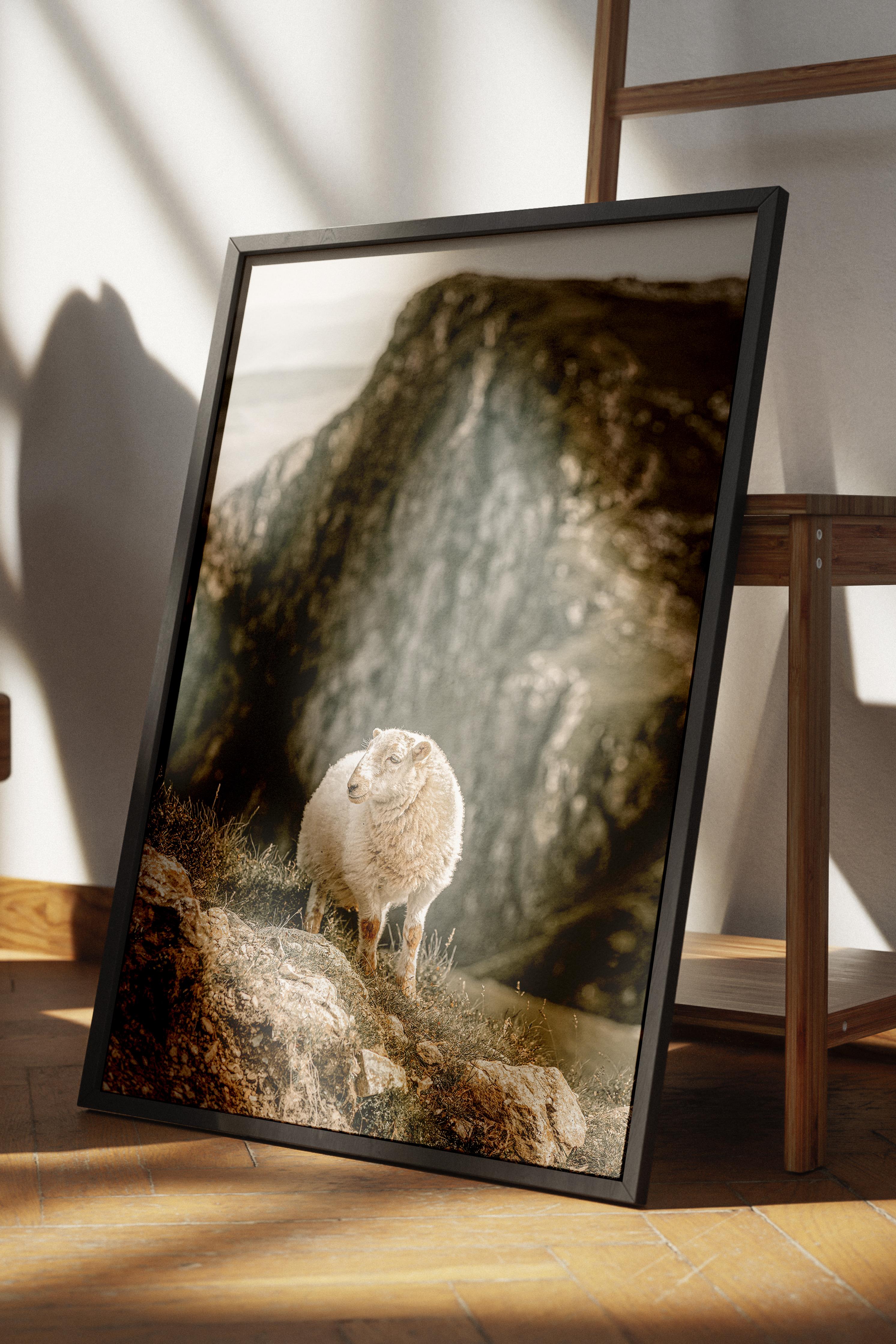Rustic Çerçevesiz Poster, İskandinav Beyaz Poster, NO:395 Koyun Fotoğraf