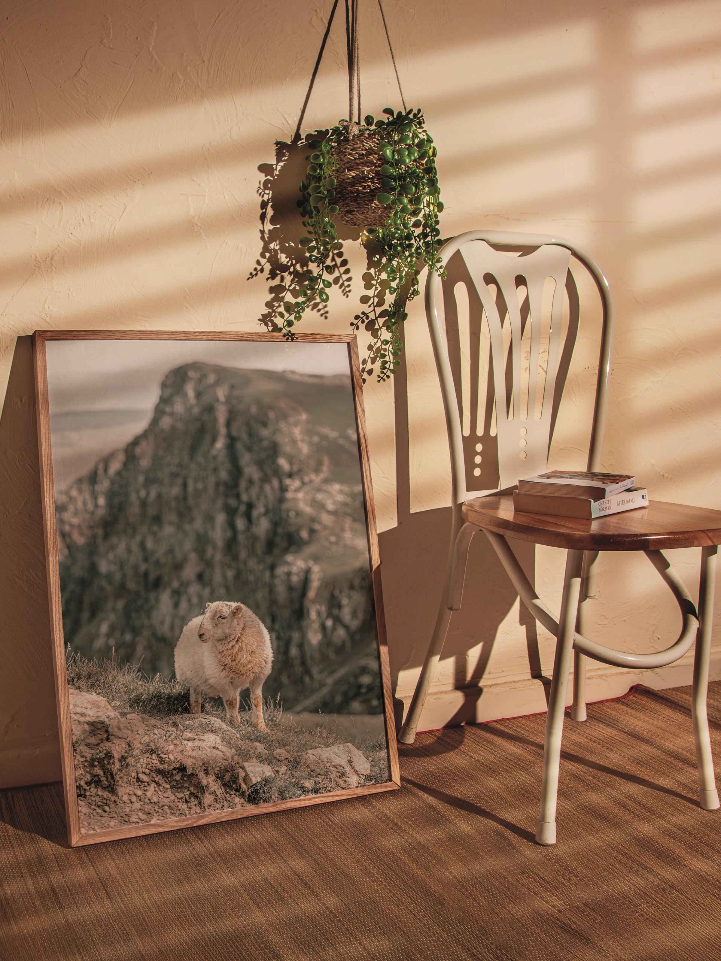 Rustic Çerçevesiz Poster, İskandinav Beyaz Poster, NO:395 Koyun Fotoğraf