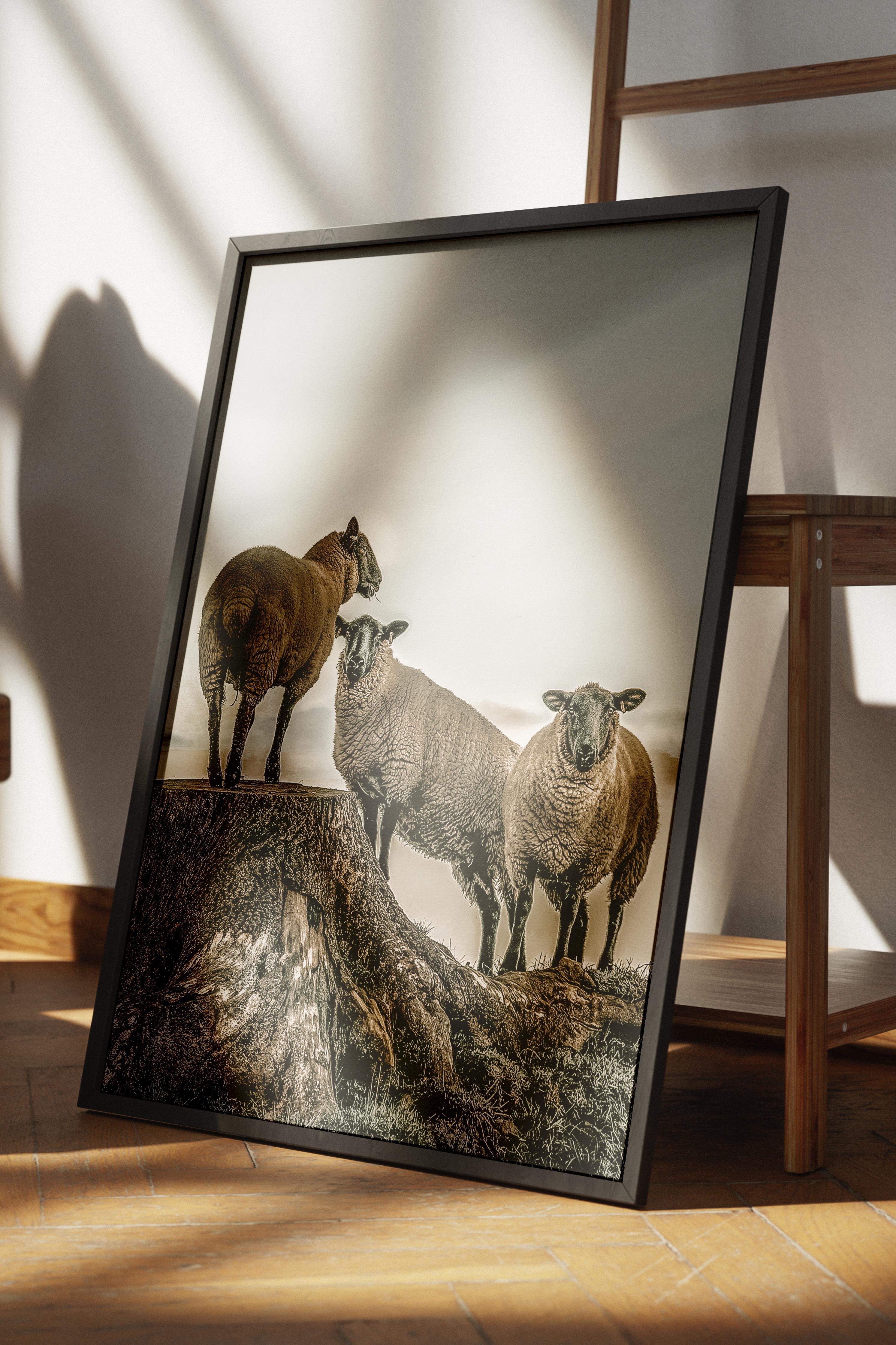 Rustic Çerçevesiz Poster, İskandinav Beyaz Poster, NO:399 Koyunlar Fotoğraf