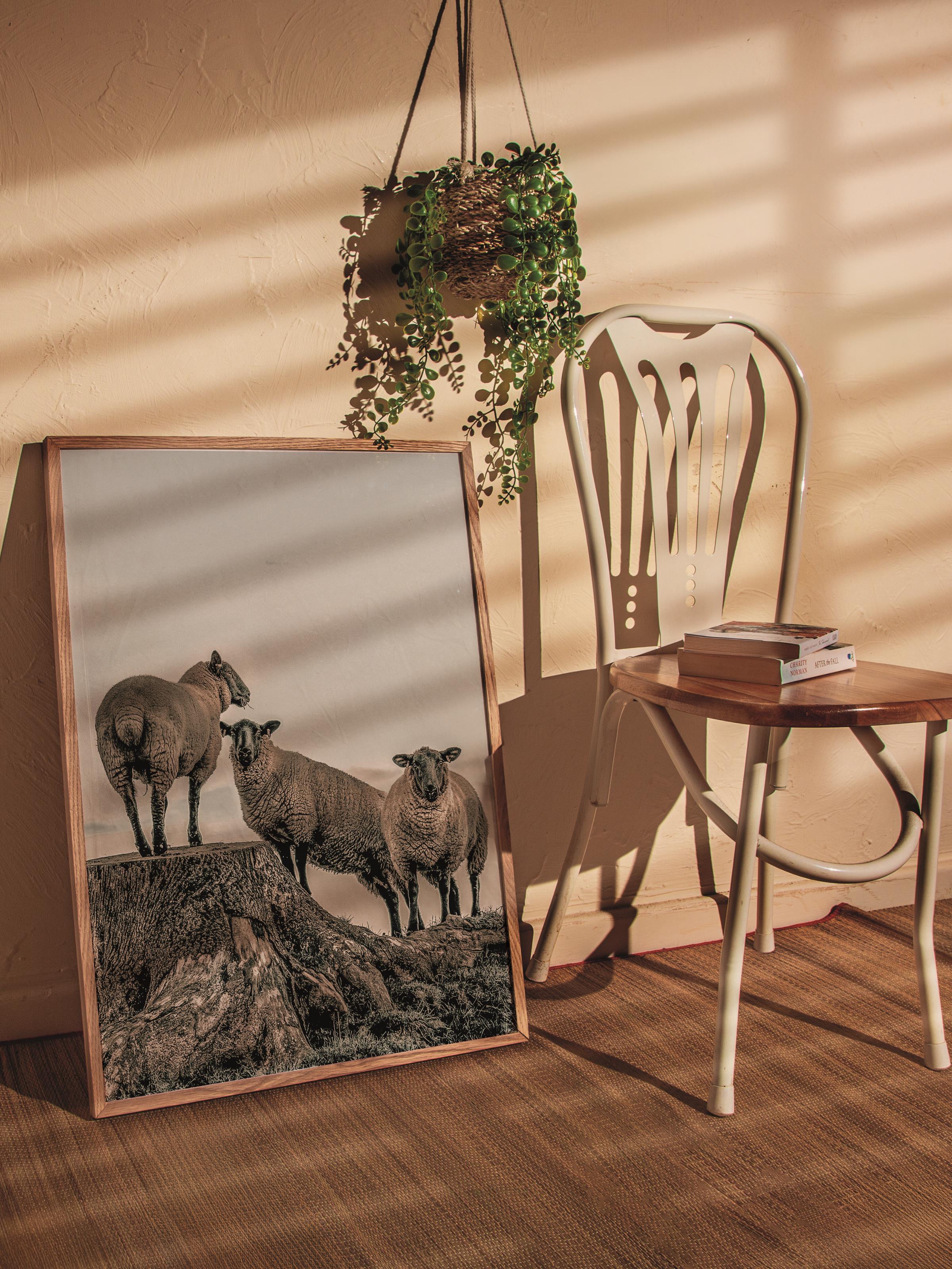 Rustic Çerçevesiz Poster, İskandinav Beyaz Poster, NO:399 Koyunlar Fotoğraf