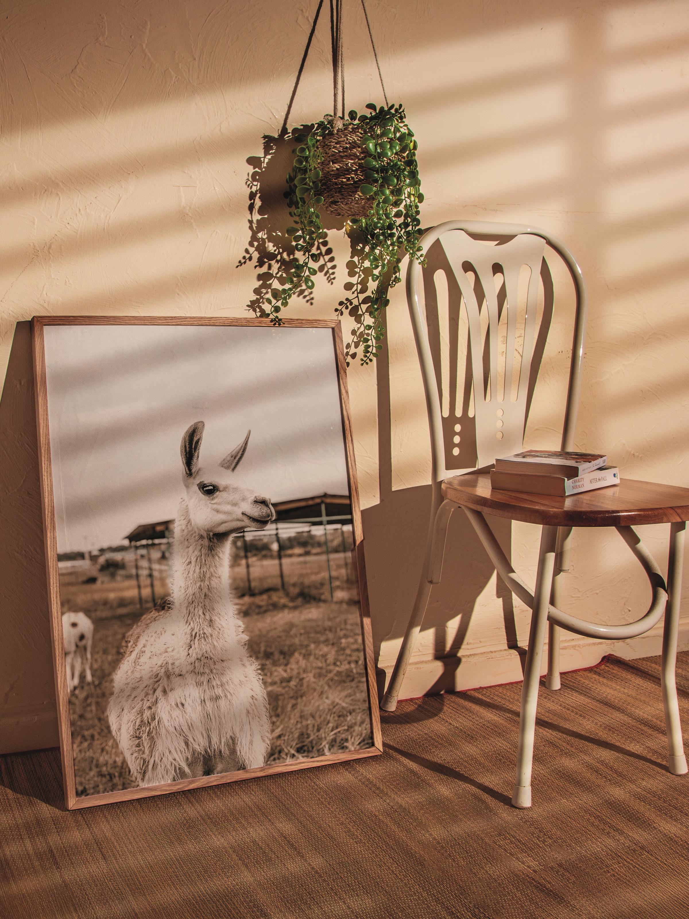 Rustic Çerçevesiz Poster, İskandinav Beyaz Poster, NO:430 Alpaka Fotoğraf