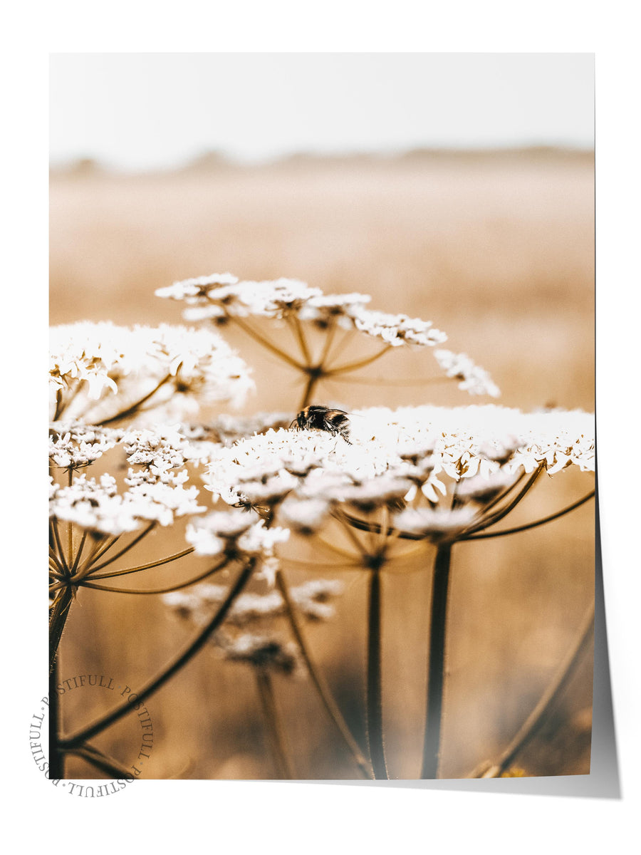 Çiçekler ve Arı Rustic Çerçevesiz Poster