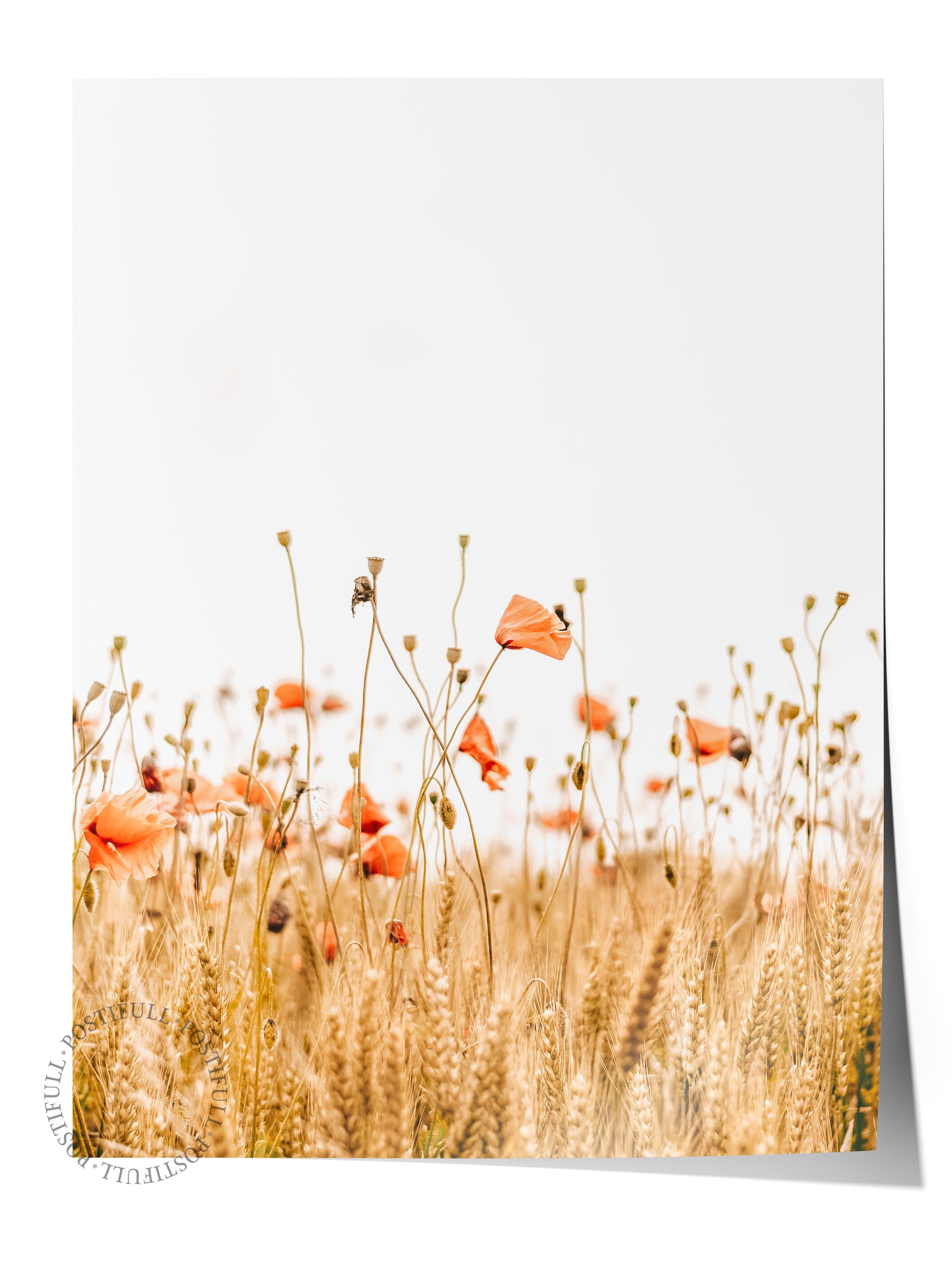 Rustic Çerçevesiz Poster, İskandinav Beyaz Poster, NO:454 Tarla Fotoğraf