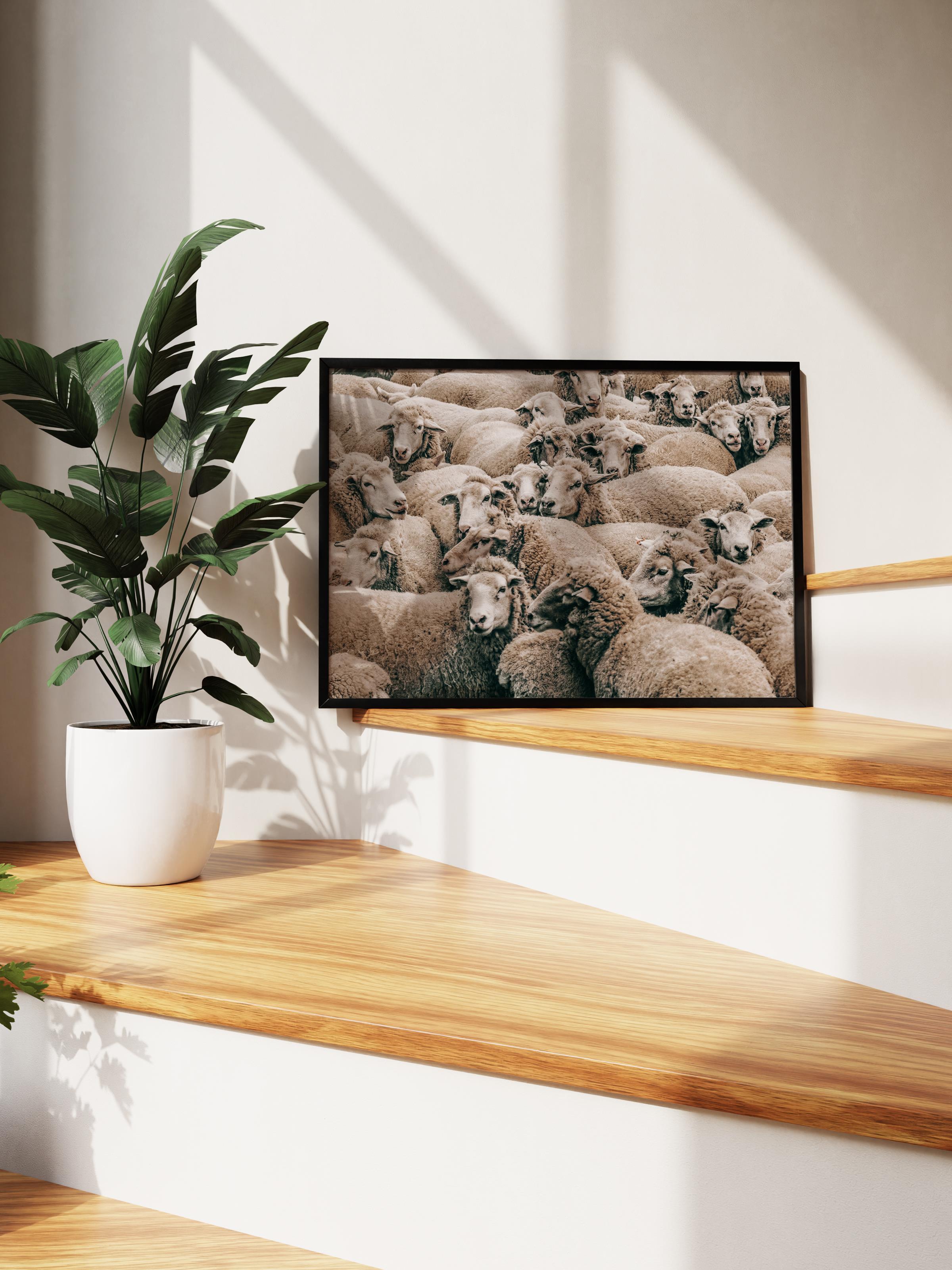 Rustic Çerçevesiz Poster, İskandinav Beyaz Tablo, NO:497 Koyunlar Fotoğraf