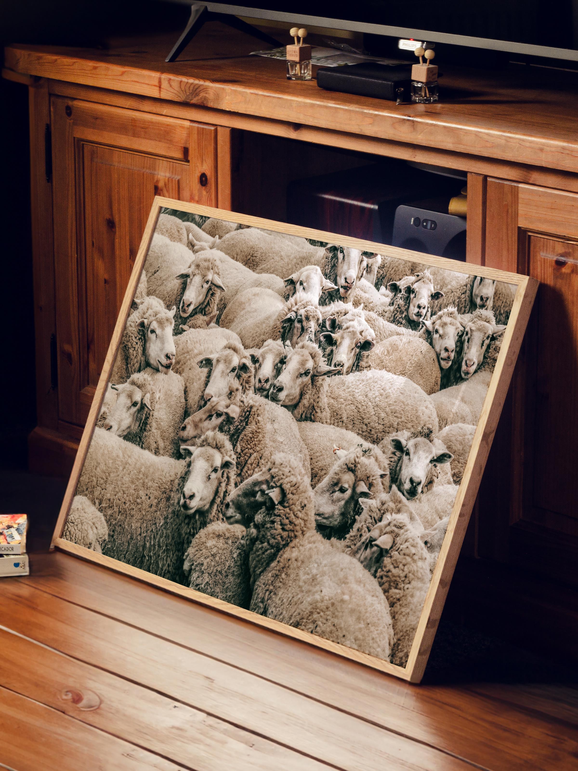 Rustic Çerçevesiz Poster, İskandinav Beyaz Tablo, NO:497 Koyunlar Fotoğraf