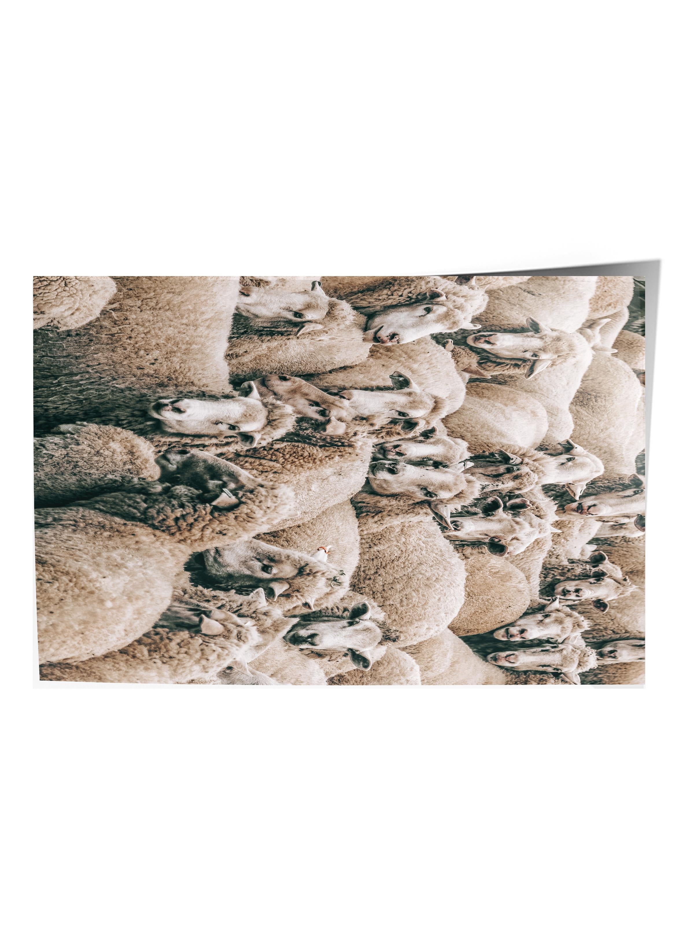 Rustic Çerçevesiz Poster, İskandinav Beyaz Tablo, NO:497 Koyunlar Fotoğraf