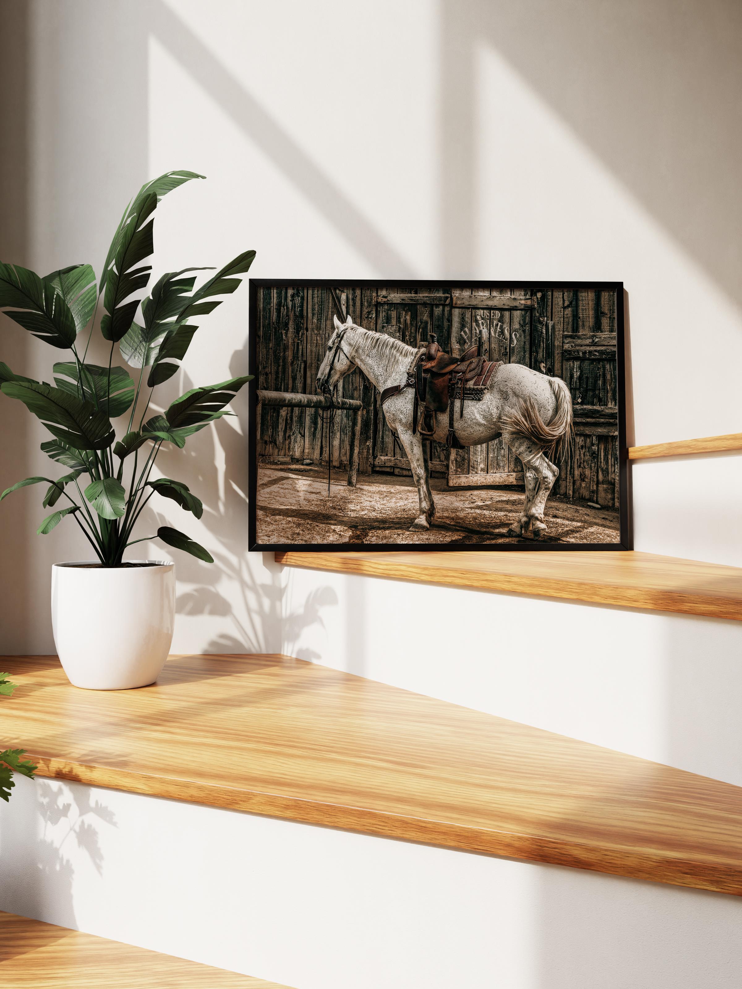 Rustic Çerçevesiz Poster, İskandinav Beyaz Tablo, NO:499 At Fotoğraf
