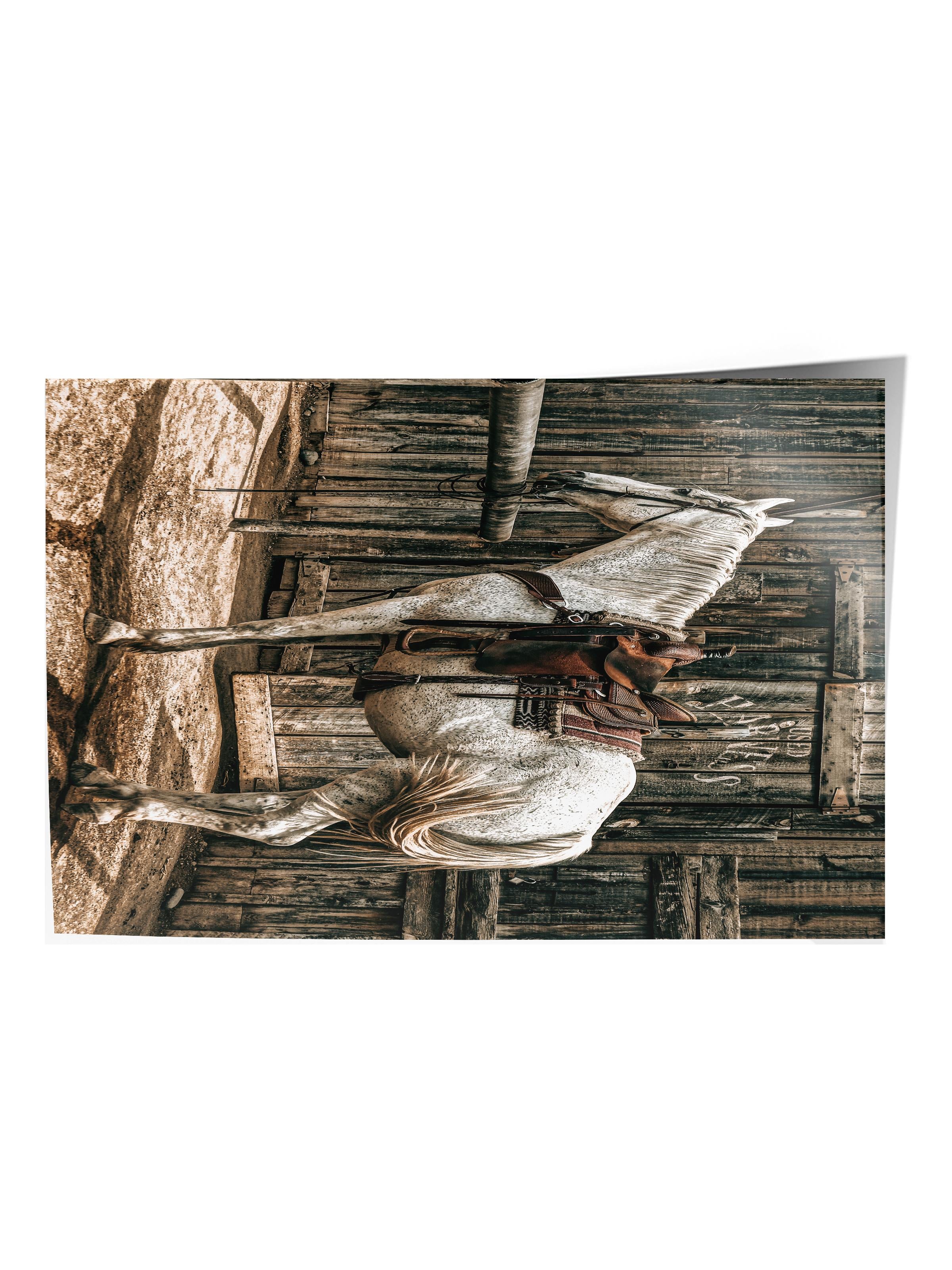 Rustic Çerçevesiz Poster, İskandinav Beyaz Tablo, NO:499 At Fotoğraf