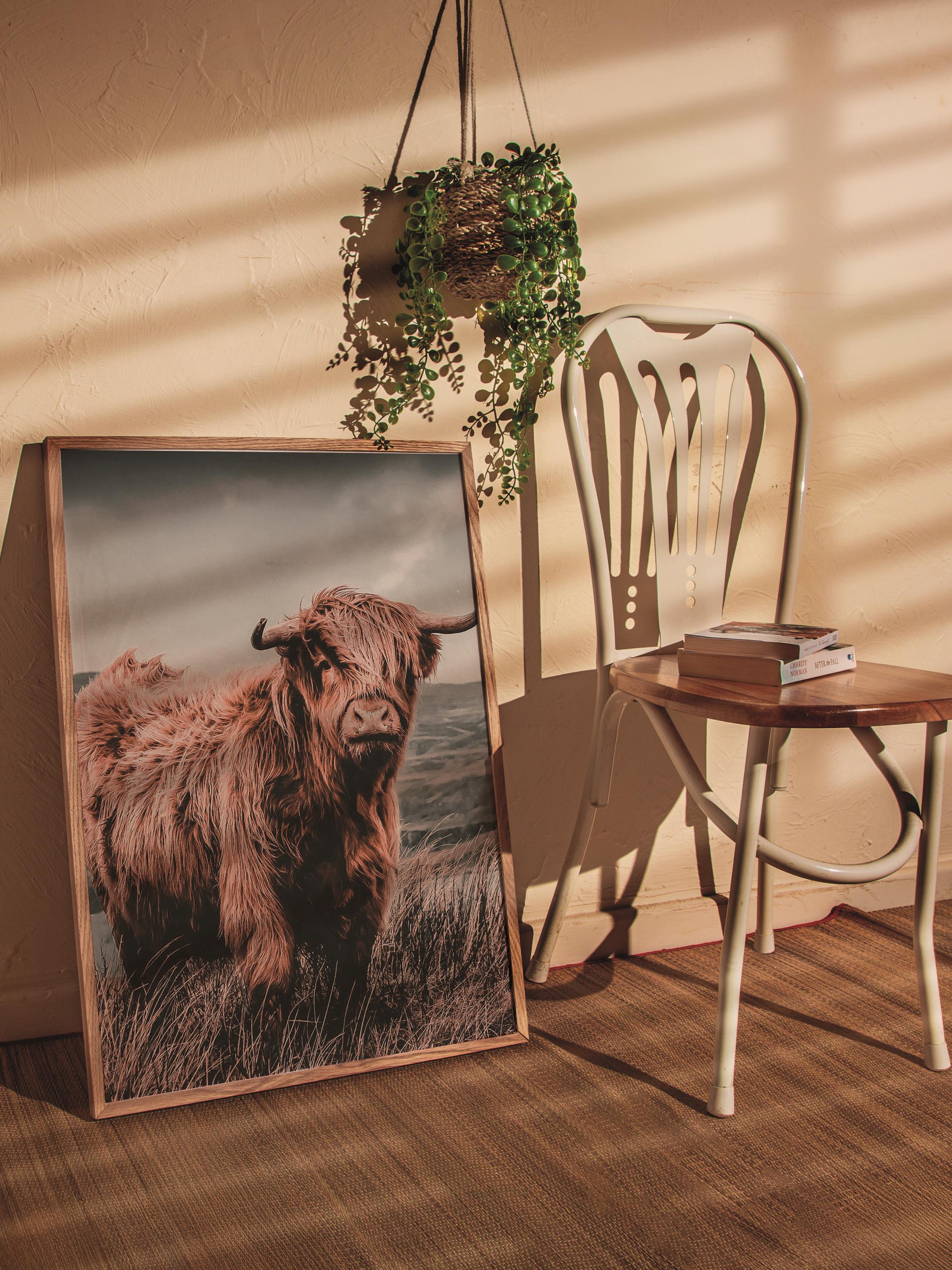Rustic Çerçevesiz Poster, İskandinav Kahverengi Poster, NO:101 Highland Sığırı Fotoğraf, Dikey