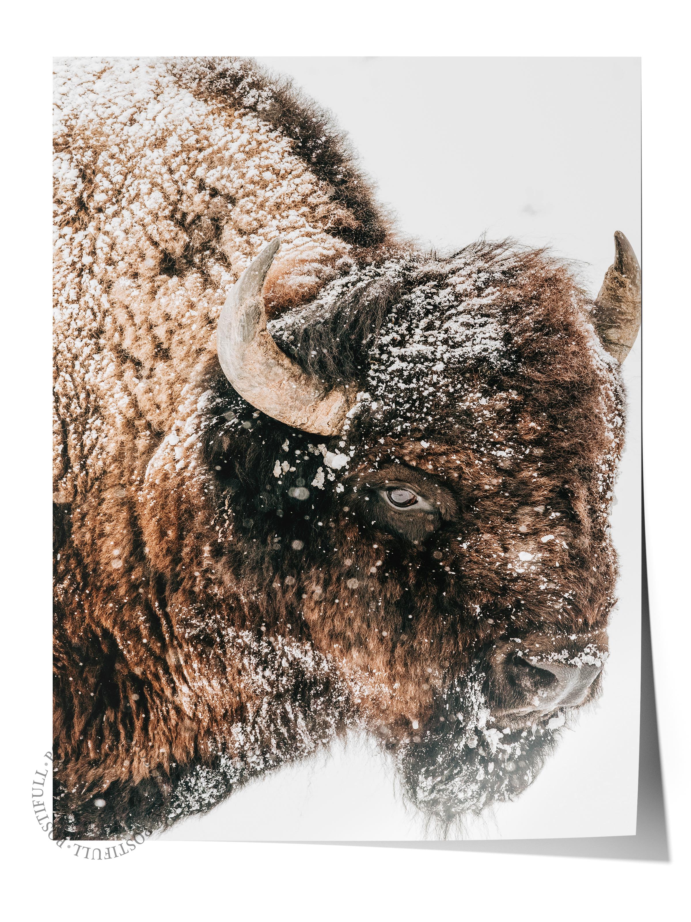Rustic Çerçevesiz Poster, İskandinav Kahverengi Poster, NO:117 Bison Yakın Plan Fotoğraf, Dikey