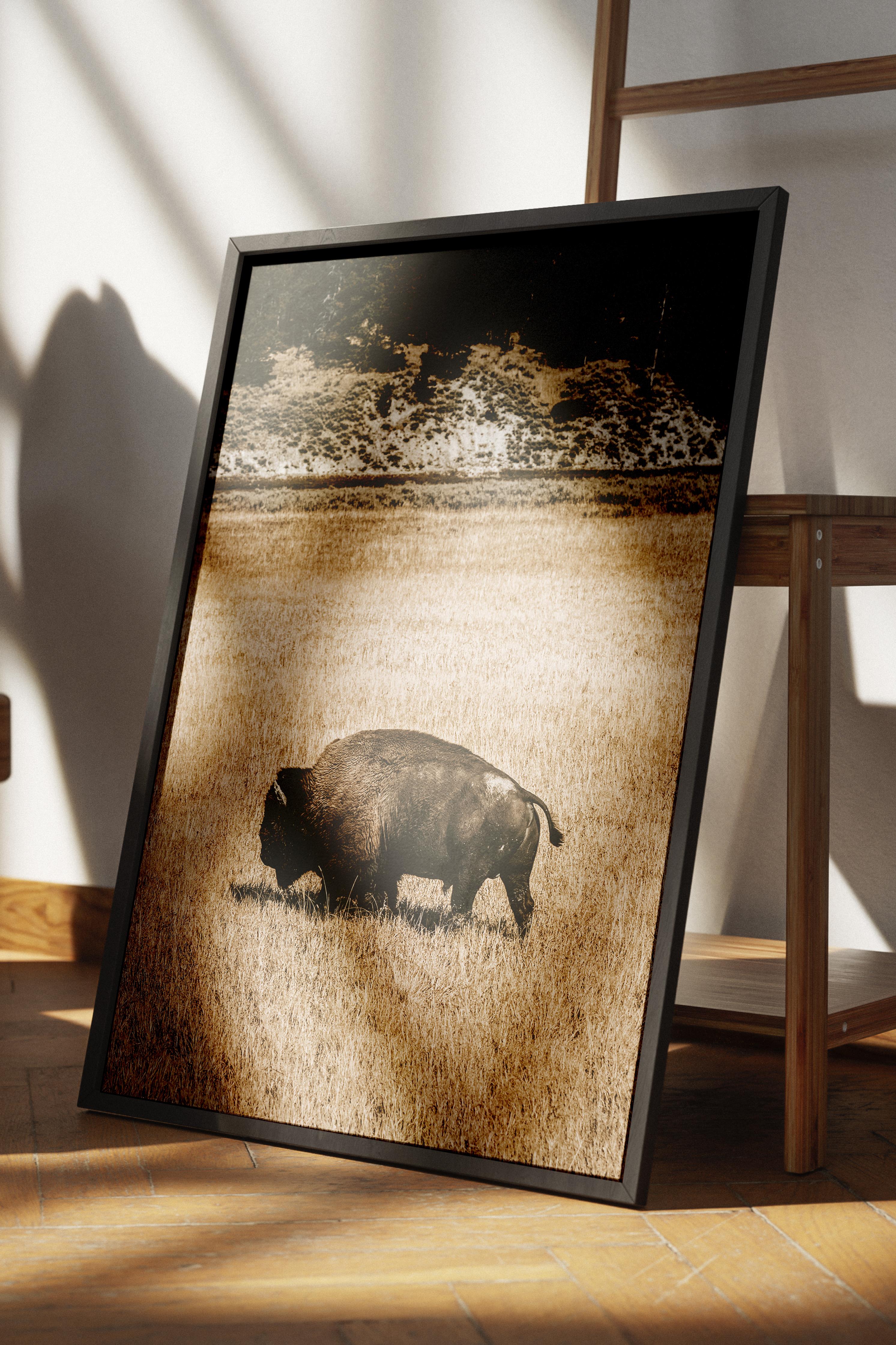 Rustic Çerçevesiz Poster, İskandinav Kahverengi Poster, NO:122 Otlayan Bison Fotoğraf, Dikey