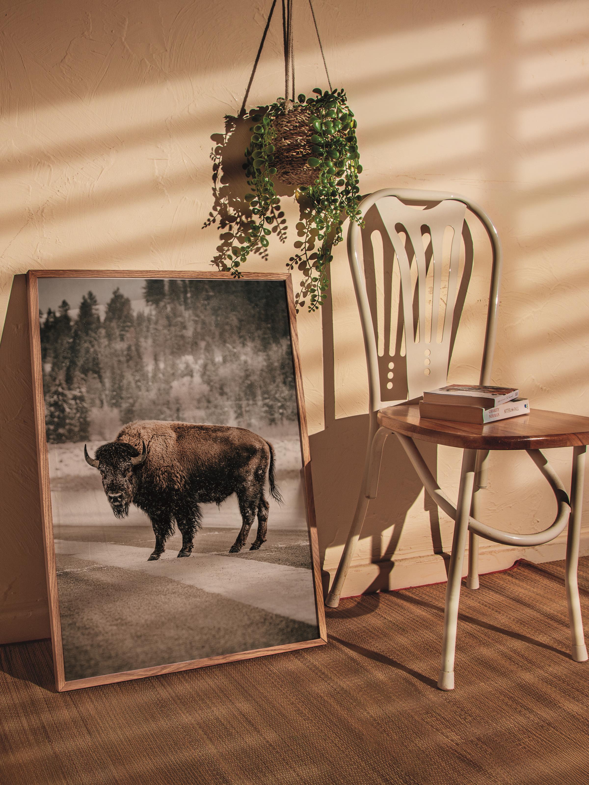 Rustic Çerçevesiz Poster, İskandinav Kahverengi Poster, NO:128 Yolda Bison Fotoğraf, Dikey