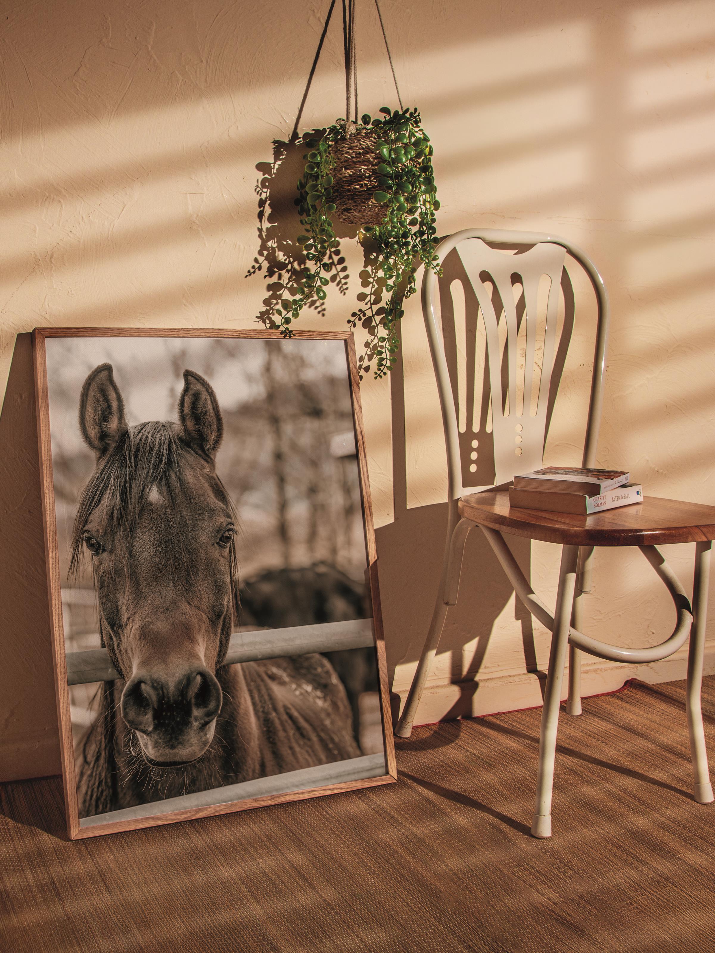Rustic Çerçevesiz Poster, İskandinav Kahverengi Poster, NO:132 At Yakın Plan Fotoğraf, Dikey