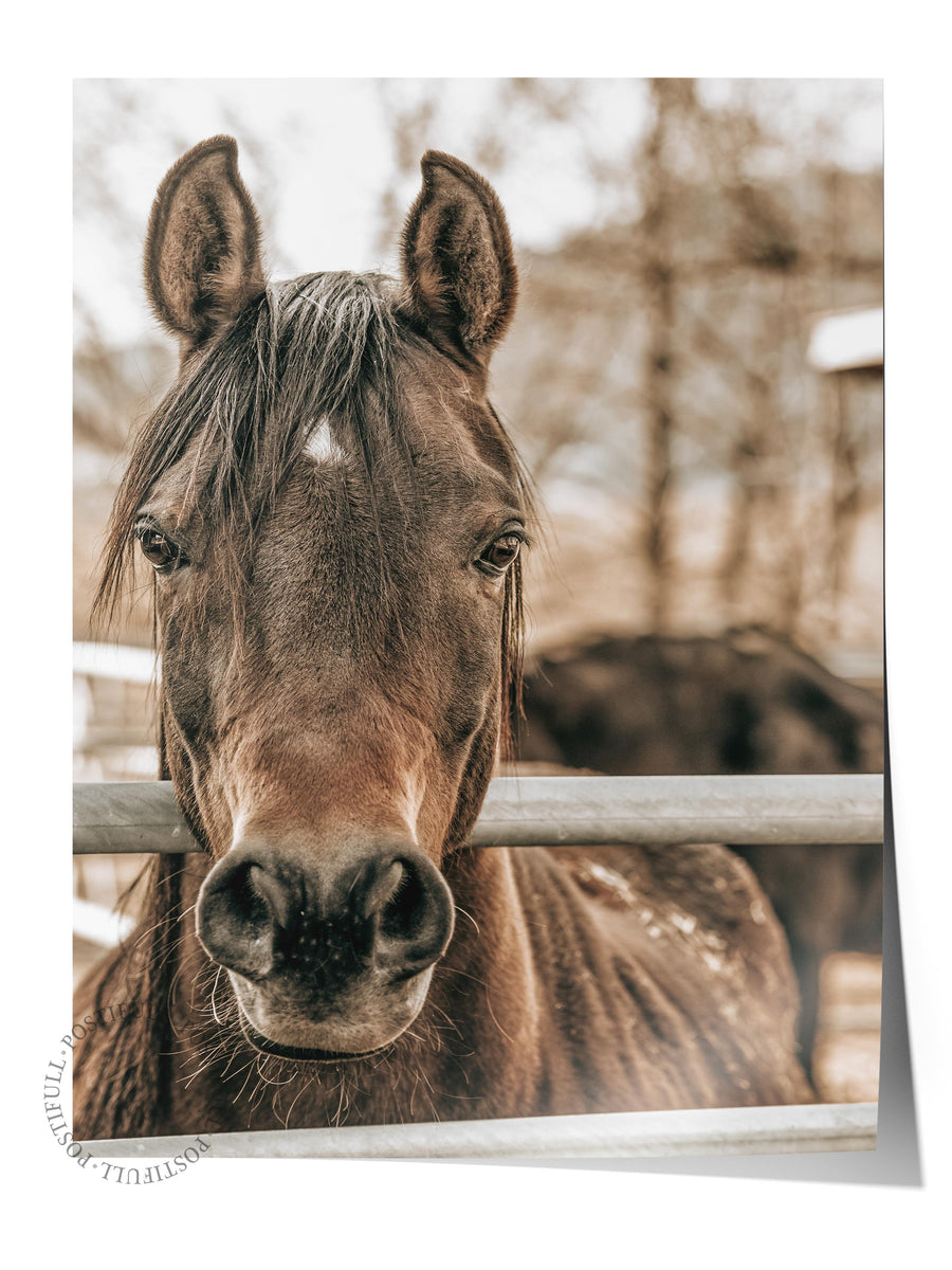 Kapıdaki Bakış Rustic Çerçevesiz Poster