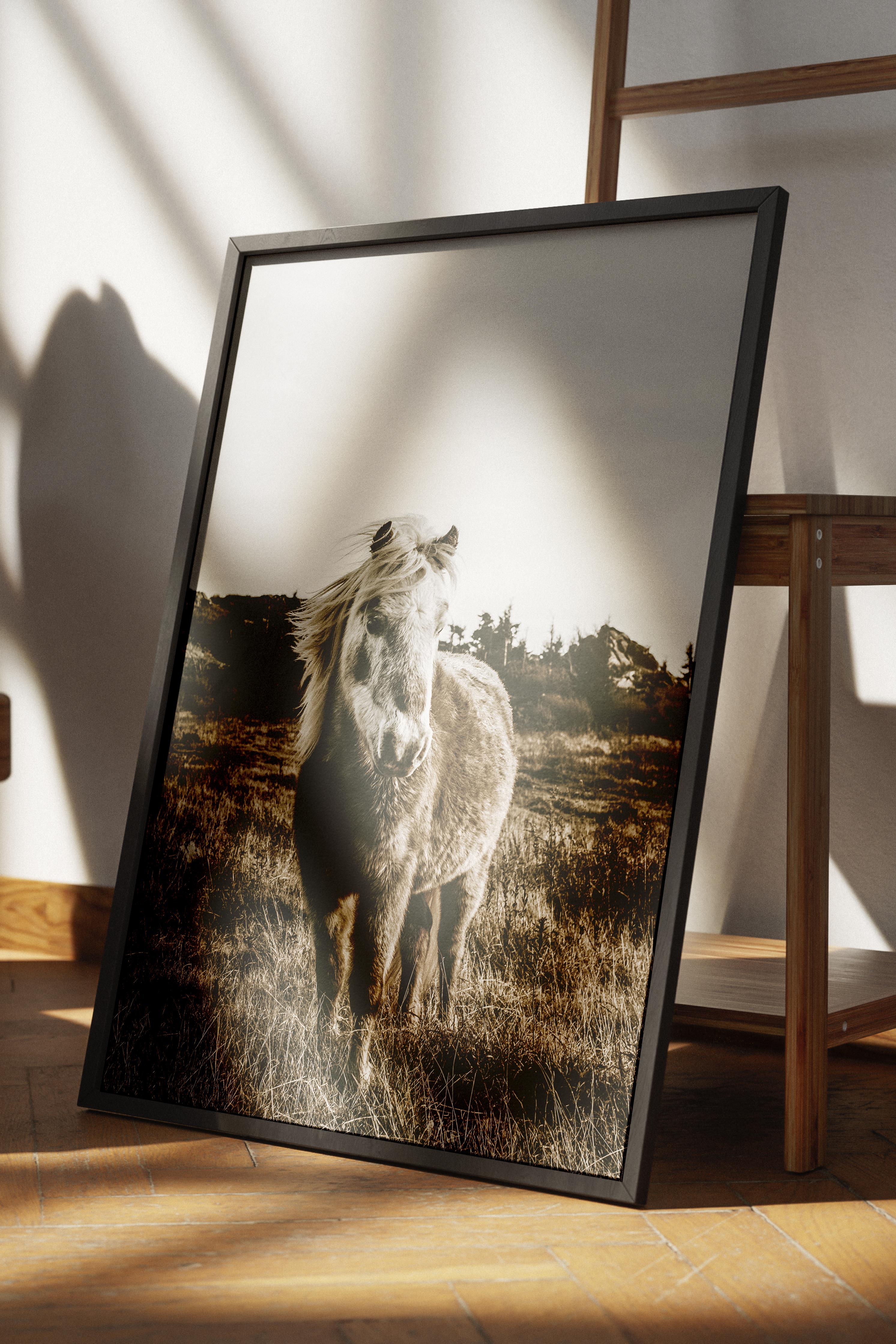 Rustic Çerçevesiz Poster, İskandinav Kahverengi Poster, NO:136 At ve Çimenler Fotoğraf, Dikey