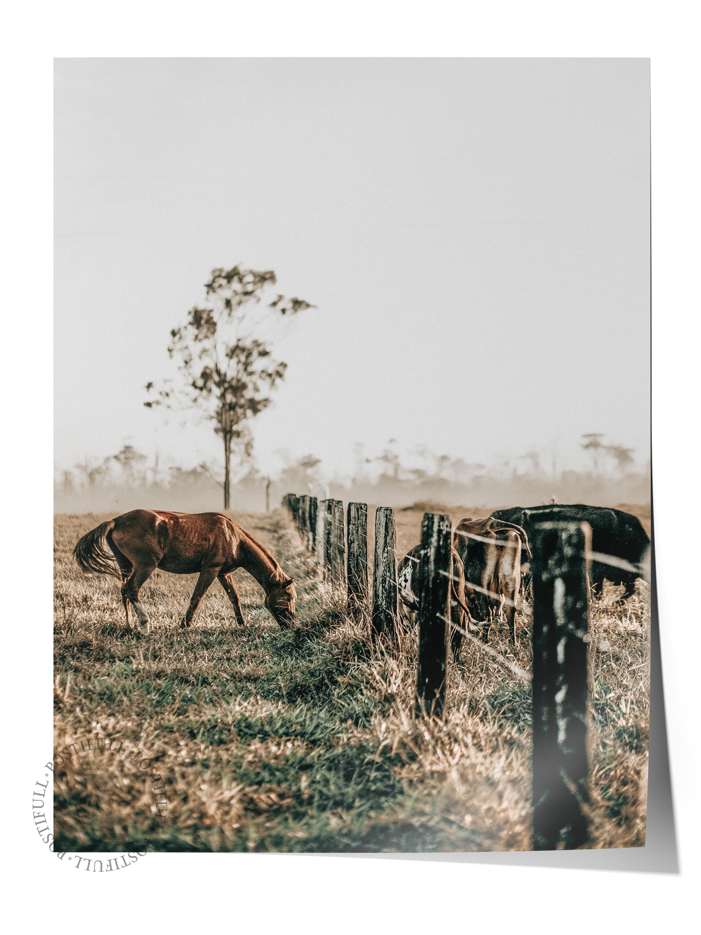 Rustic Çerçevesiz Poster, İskandinav Kahverengi Poster, NO:137 Çimenler ve Çitler Fotoğraf, Dikey