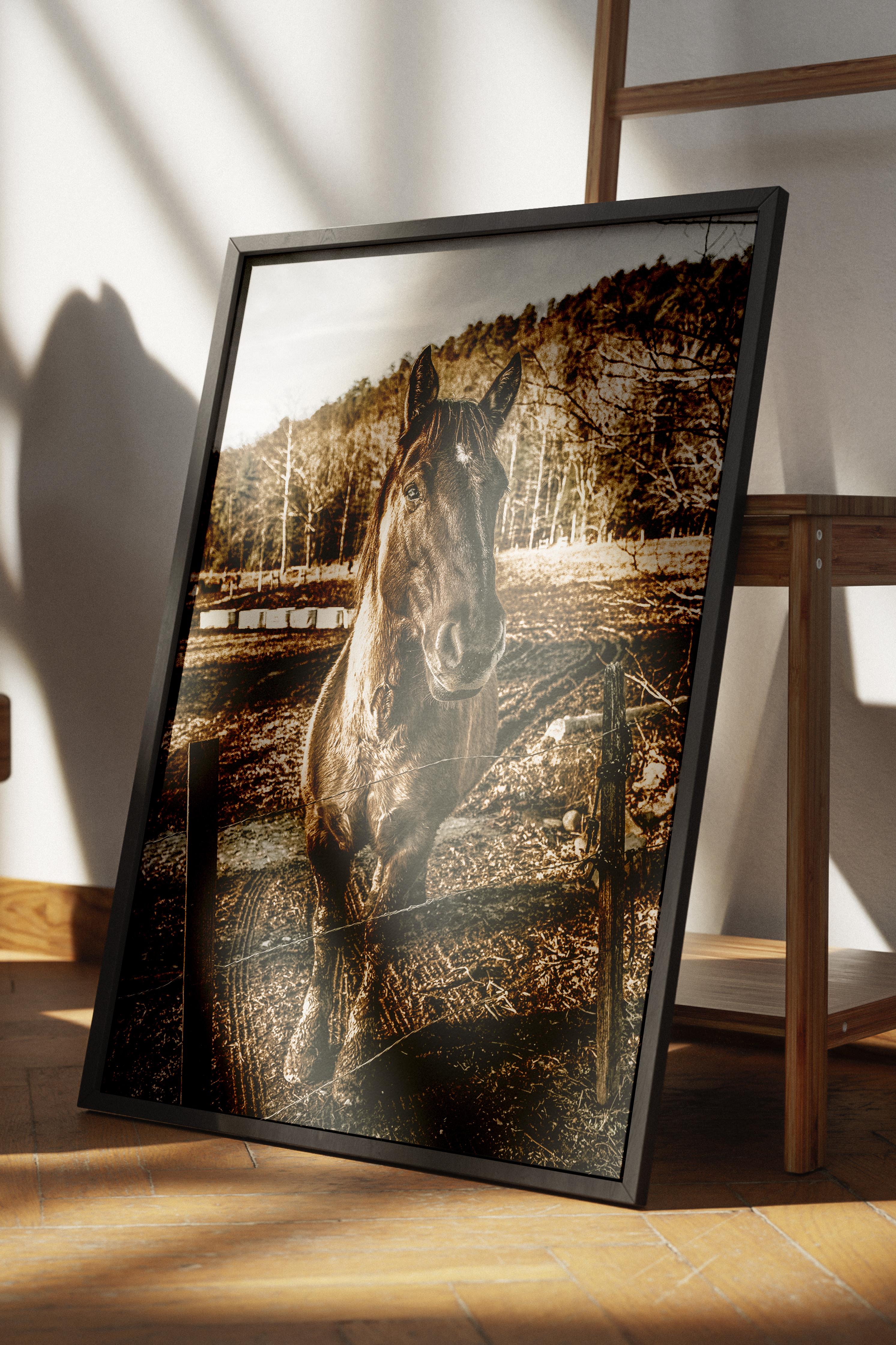 Rustic Çerçevesiz Poster, İskandinav Kahverengi Poster, NO:138 At Yakın Plan Fotoğraf, Dikey