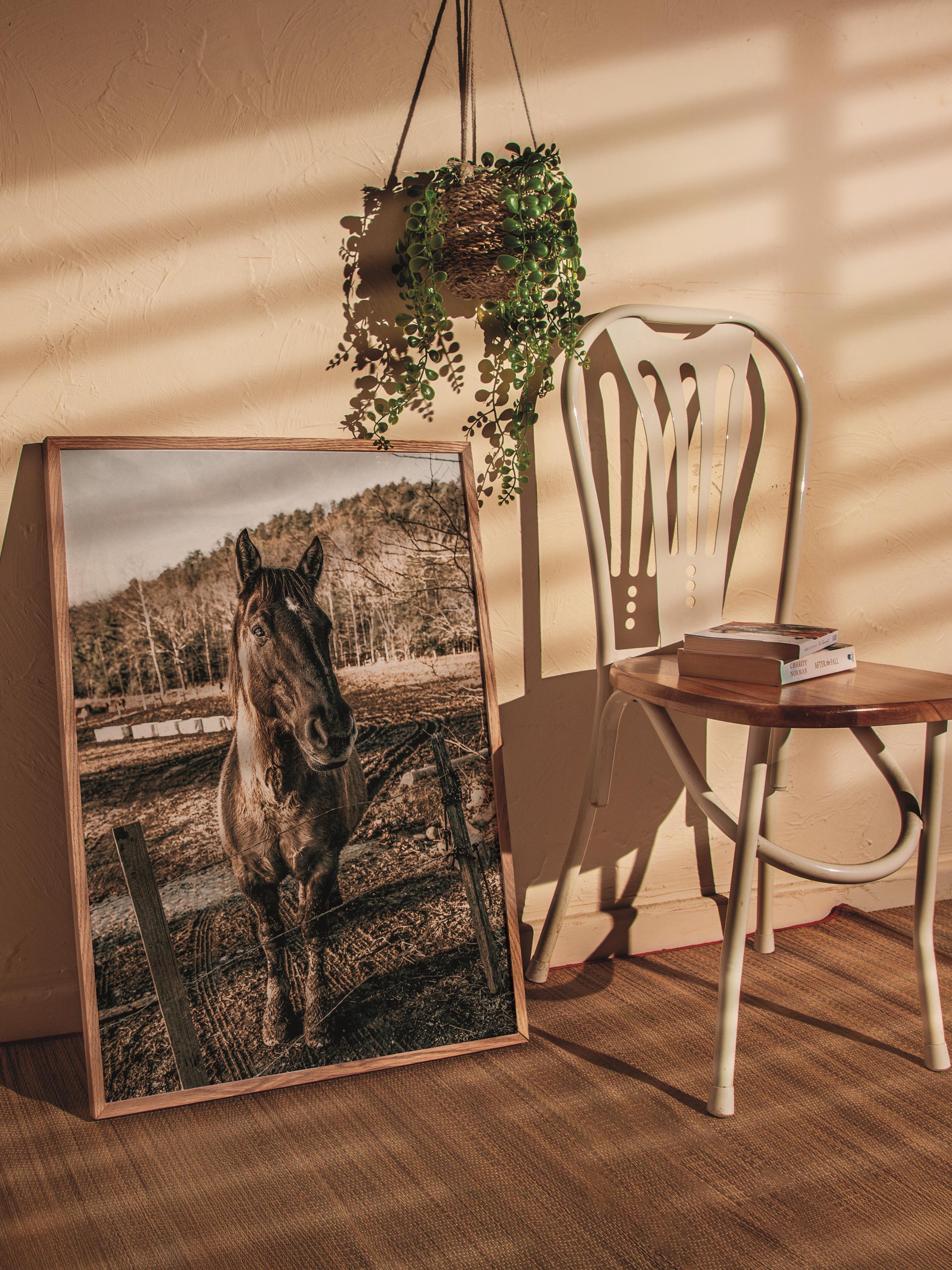 Rustic Çerçevesiz Poster, İskandinav Kahverengi Poster, NO:138 At Yakın Plan Fotoğraf, Dikey