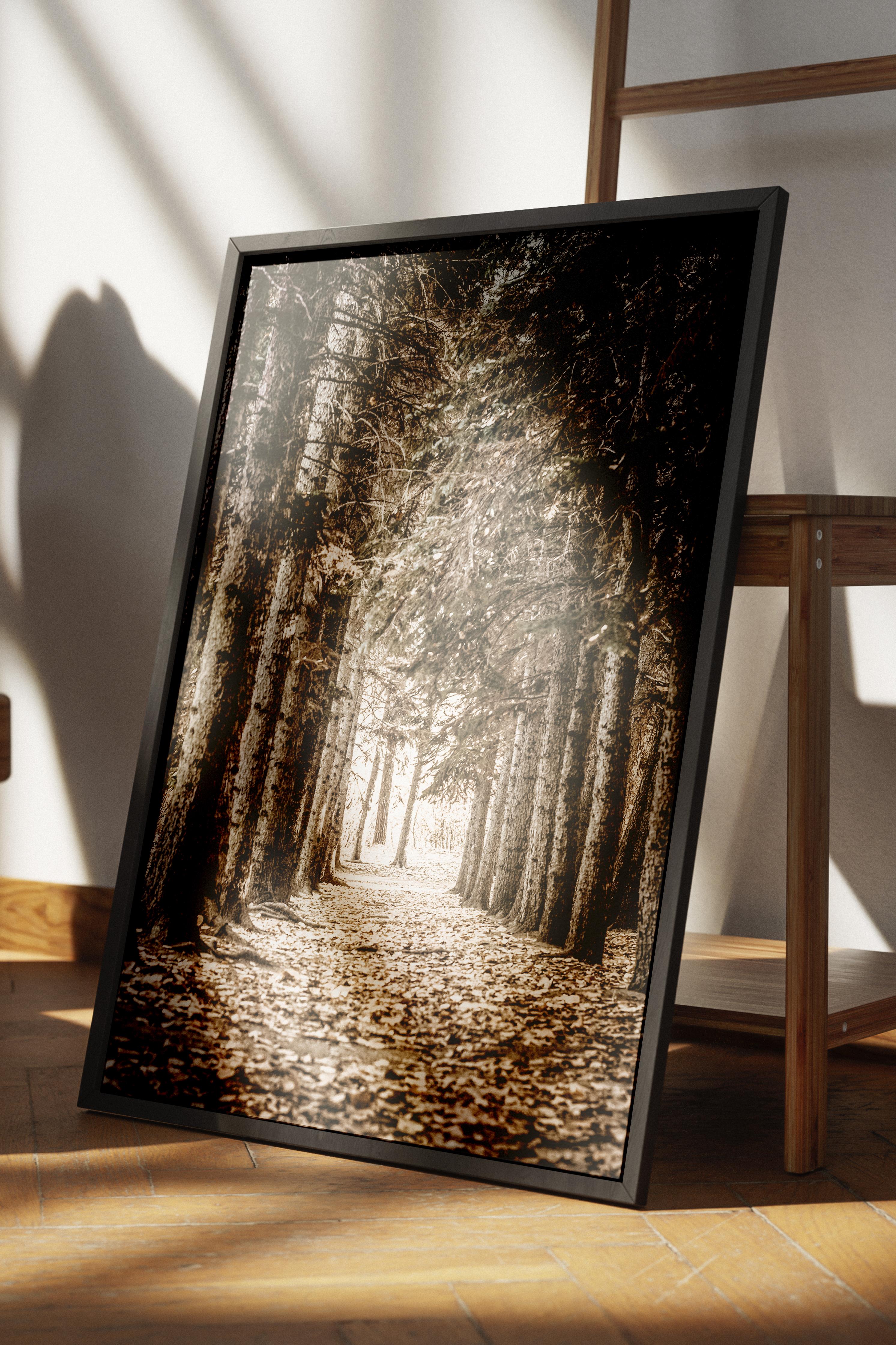 Rustic Çerçevesiz Poster, İskandinav Kahverengi Poster, NO:142 Orman Yolu Fotoğraf, Dikey