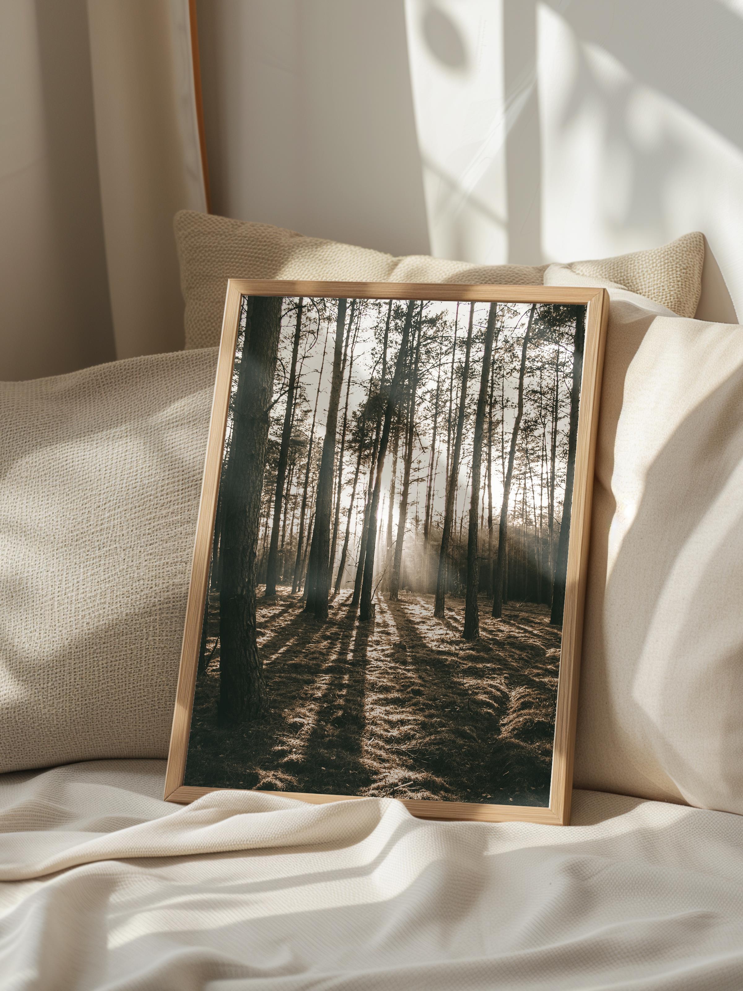 Rustic Çerçevesiz Poster, İskandinav Kahverengi Poster, NO:143 Orman Yolu ve Gölgeler Fotoğraf, Dikey