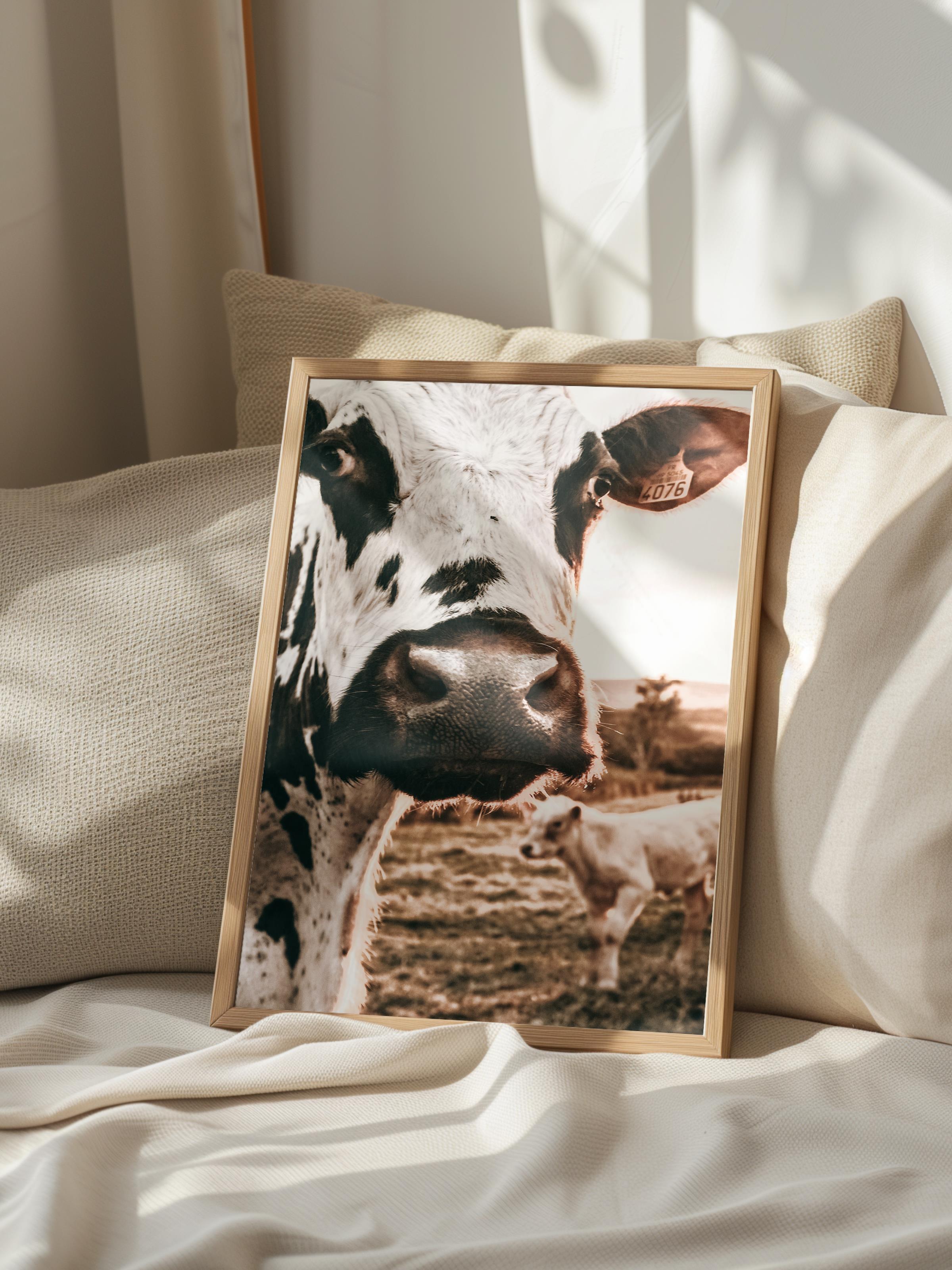 Rustic Çerçevesiz Poster, İskandinav Kahverengi Poster, NO:150 İnek Yakın Plan Fotoğraf, Dikey