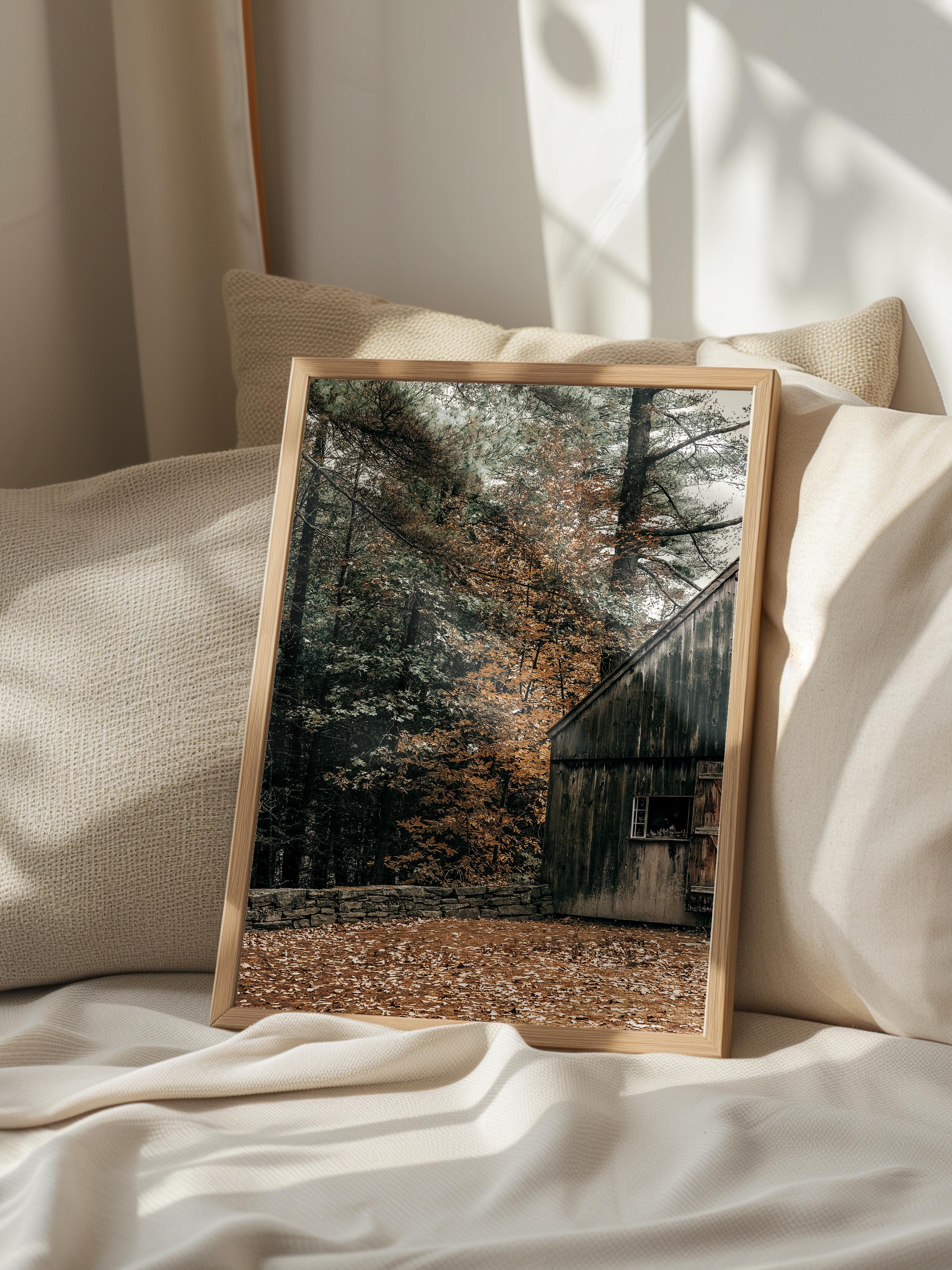Rustic Çerçevesiz Poster, İskandinav Kahverengi Poster, NO:164 Ağaç ve Orman Fotoğraf, Dikey