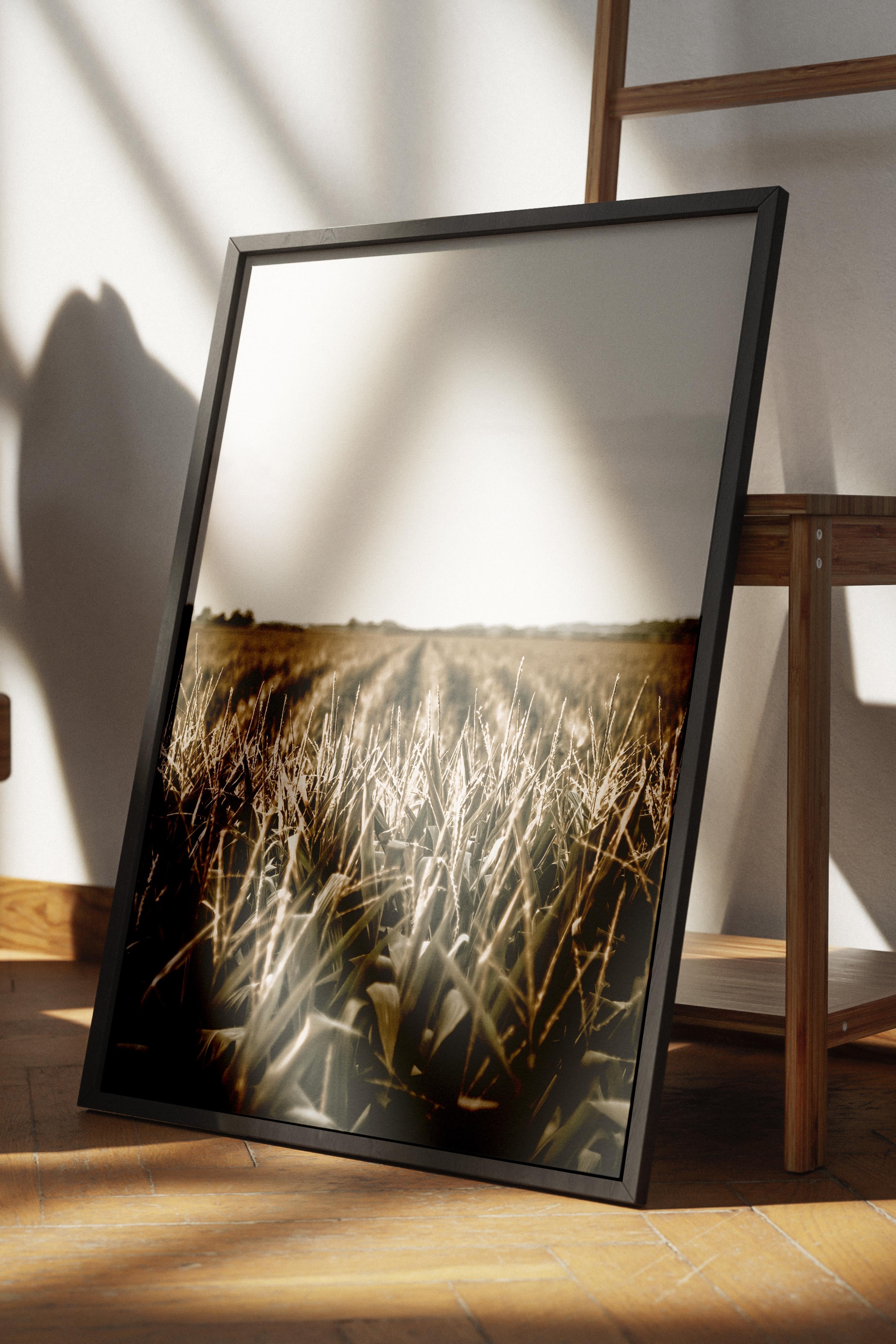 Rustic Çerçevesiz Poster, İskandinav Kahverengi Poster, NO:165 Çiftlik Tarlası Fotoğraf, Dikey