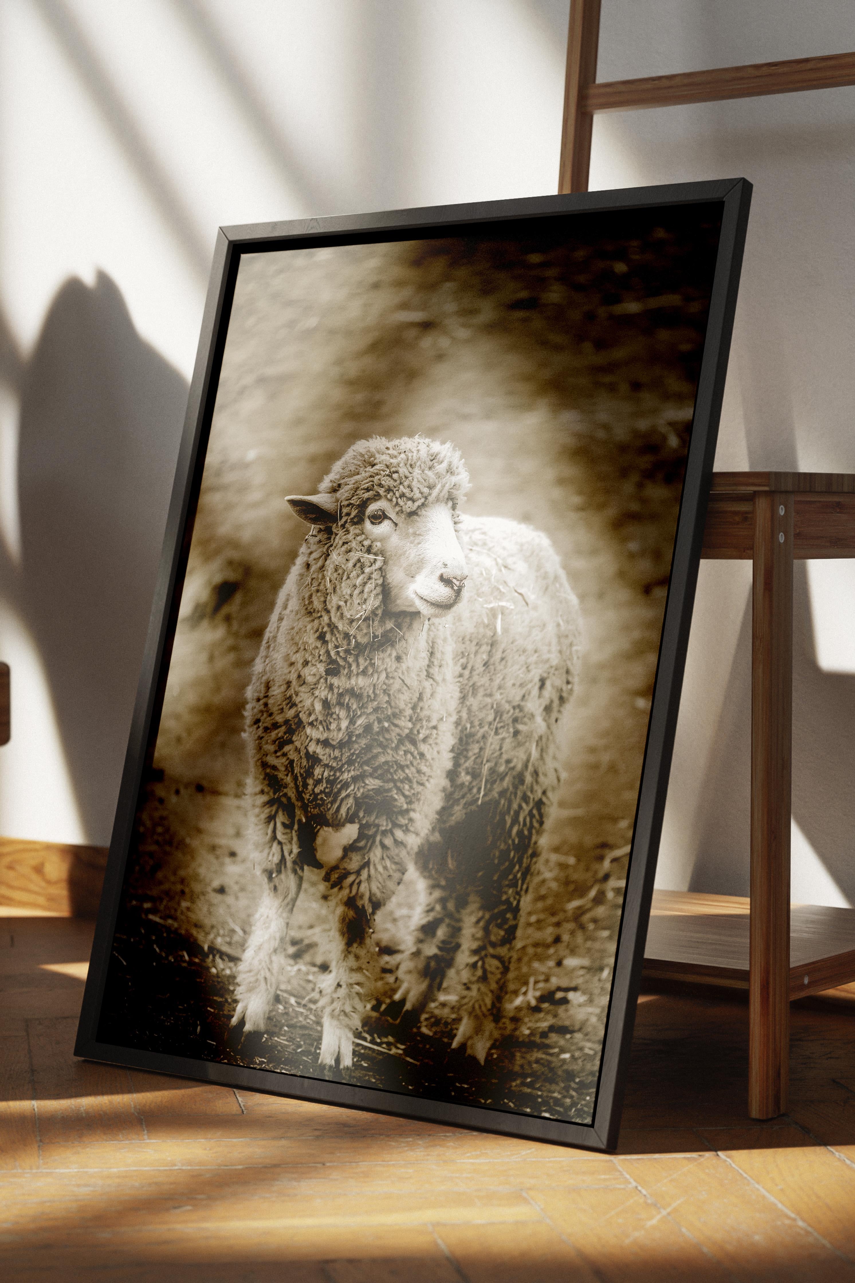 Rustic Çerçevesiz Poster, İskandinav Kahverengi Poster, NO:166 Koyun Yakın Plan Fotoğraf, Dikey