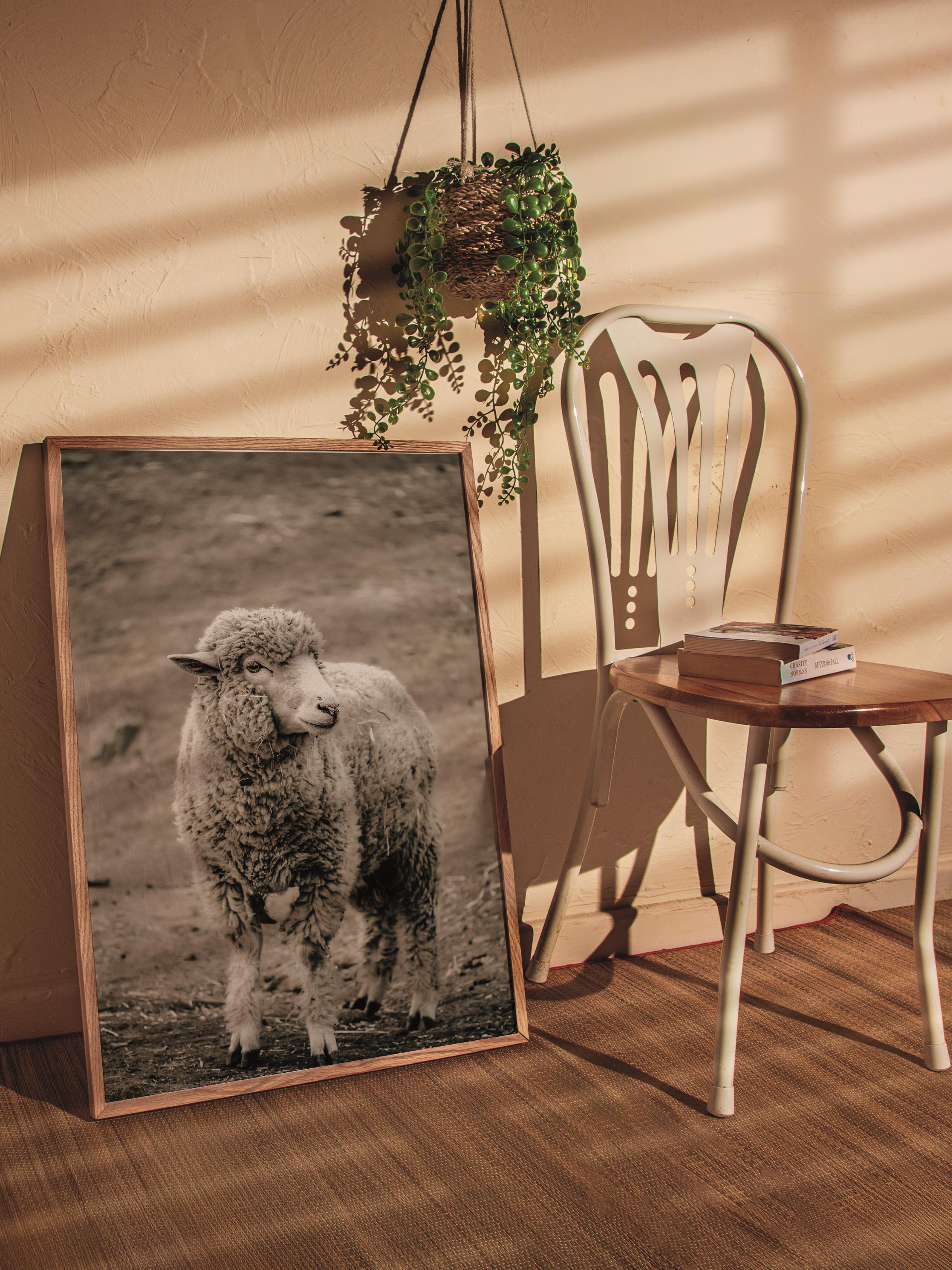 Rustic Çerçevesiz Poster, İskandinav Kahverengi Poster, NO:166 Koyun Yakın Plan Fotoğraf, Dikey