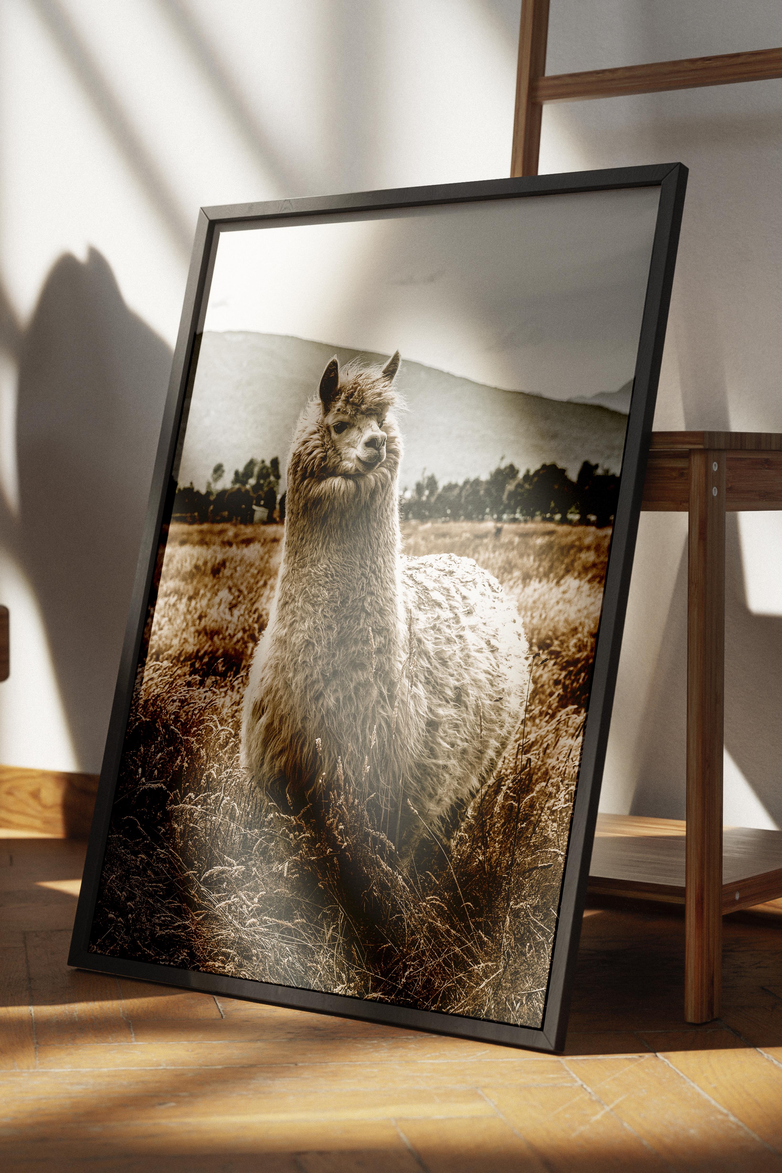 Rustic Çerçevesiz Poster, İskandinav Kahverengi Poster, NO:169 Lama Yakın Plan Fotoğraf, Dikey