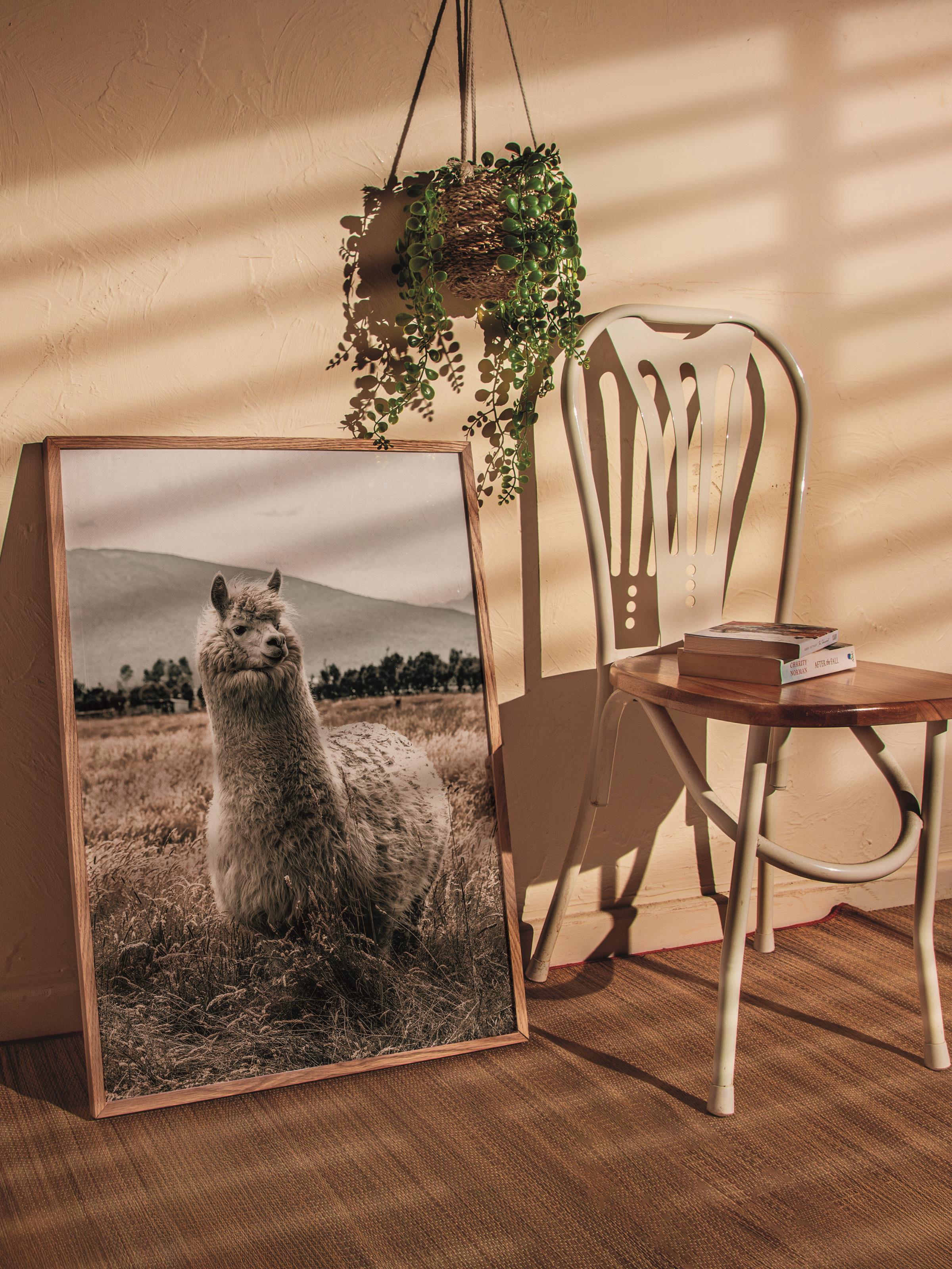 Rustic Çerçevesiz Poster, İskandinav Kahverengi Poster, NO:169 Lama Yakın Plan Fotoğraf, Dikey
