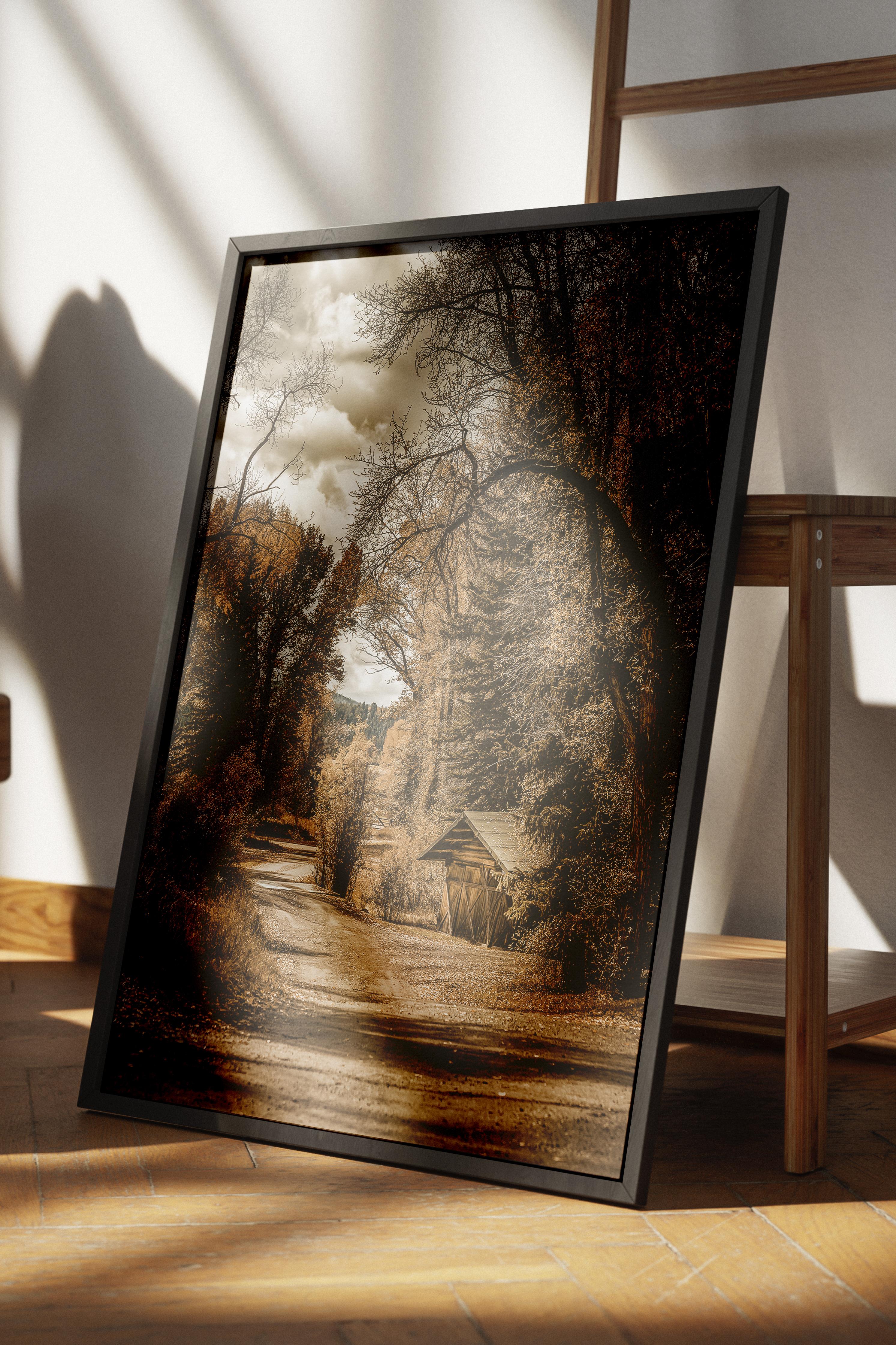 Rustic Çerçevesiz Poster, İskandinav Kahverengi Poster, NO:17 Orman Yolu Fotoğraf, Dikey
