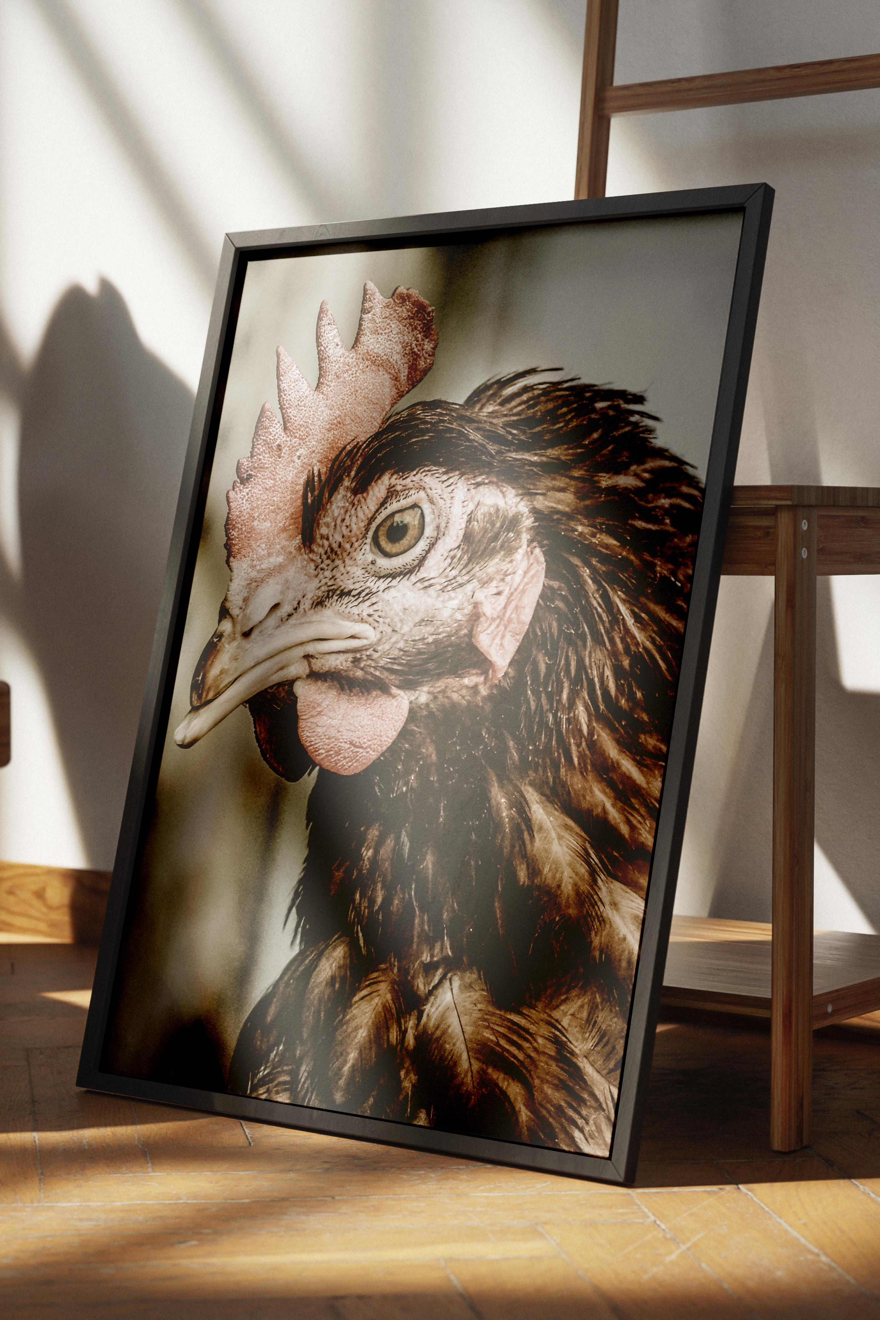 Rustic Çerçevesiz Poster, İskandinav Kahverengi Poster, NO:176 Tavuk Yakın Plan Fotoğraf, Dikey