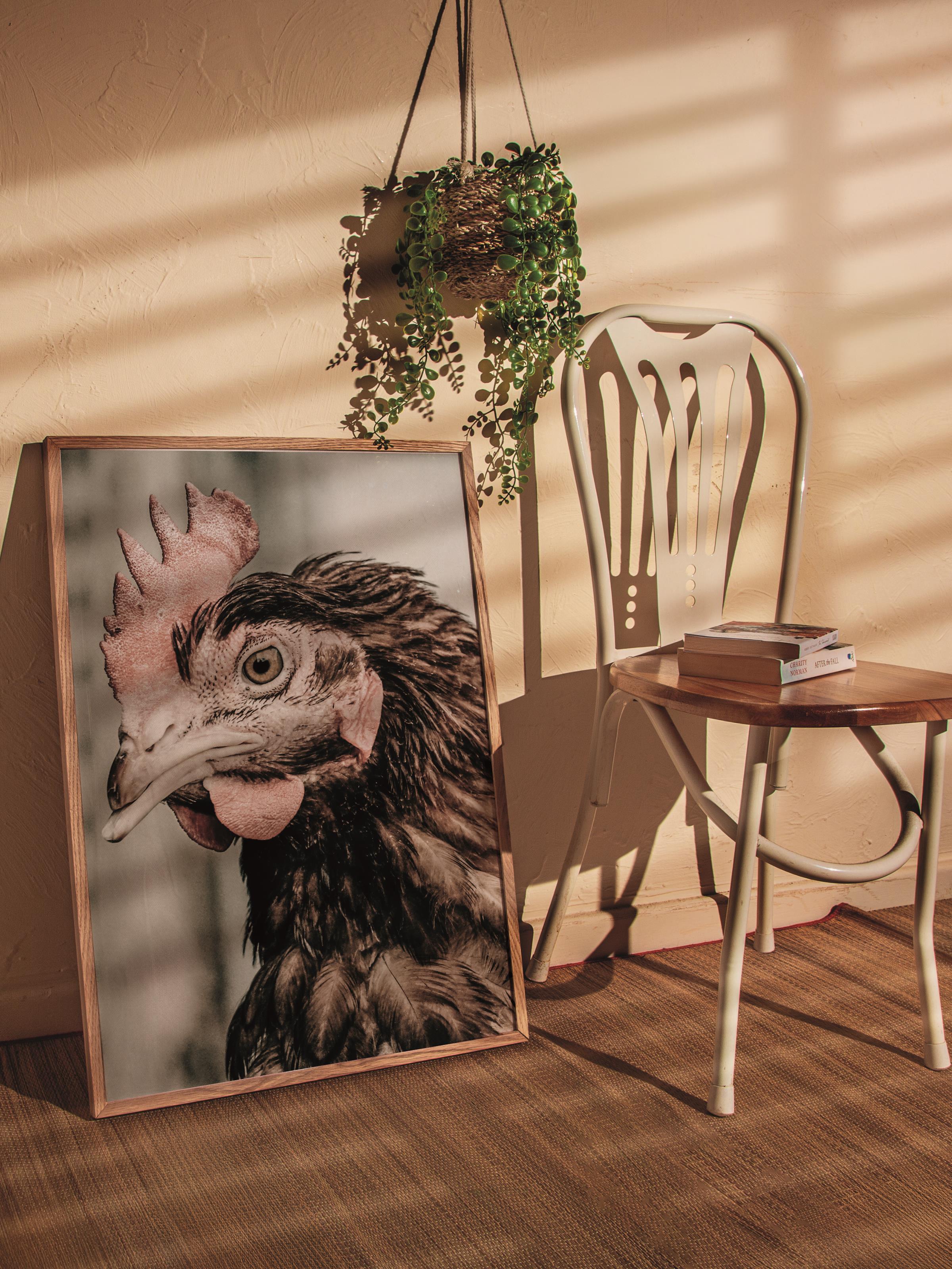 Rustic Çerçevesiz Poster, İskandinav Kahverengi Poster, NO:176 Tavuk Yakın Plan Fotoğraf, Dikey