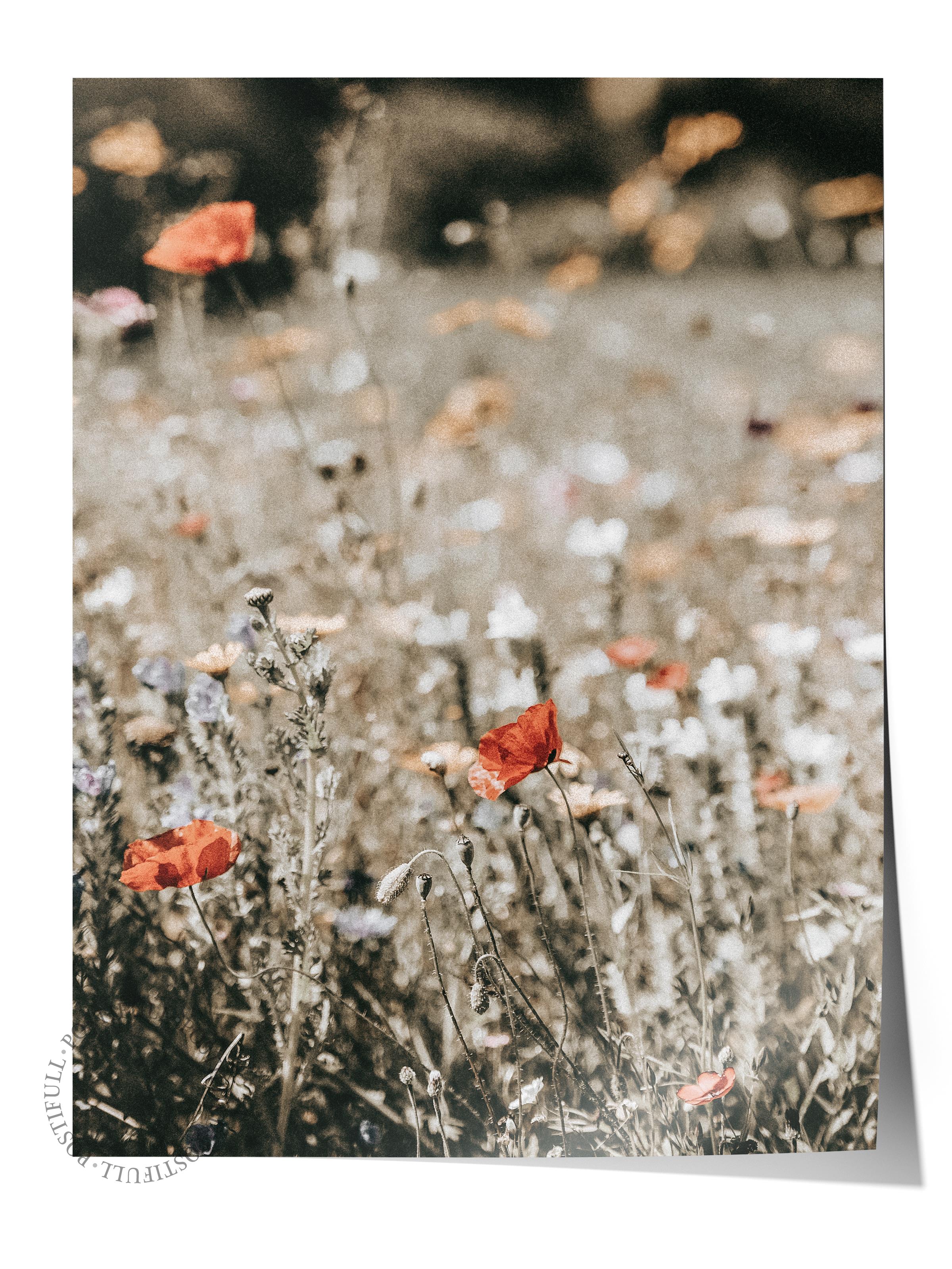 Rustic Çerçevesiz Poster, İskandinav Kahverengi Poster, NO:195 Gelincikler ve Çiçekler Fotoğraf Dikey