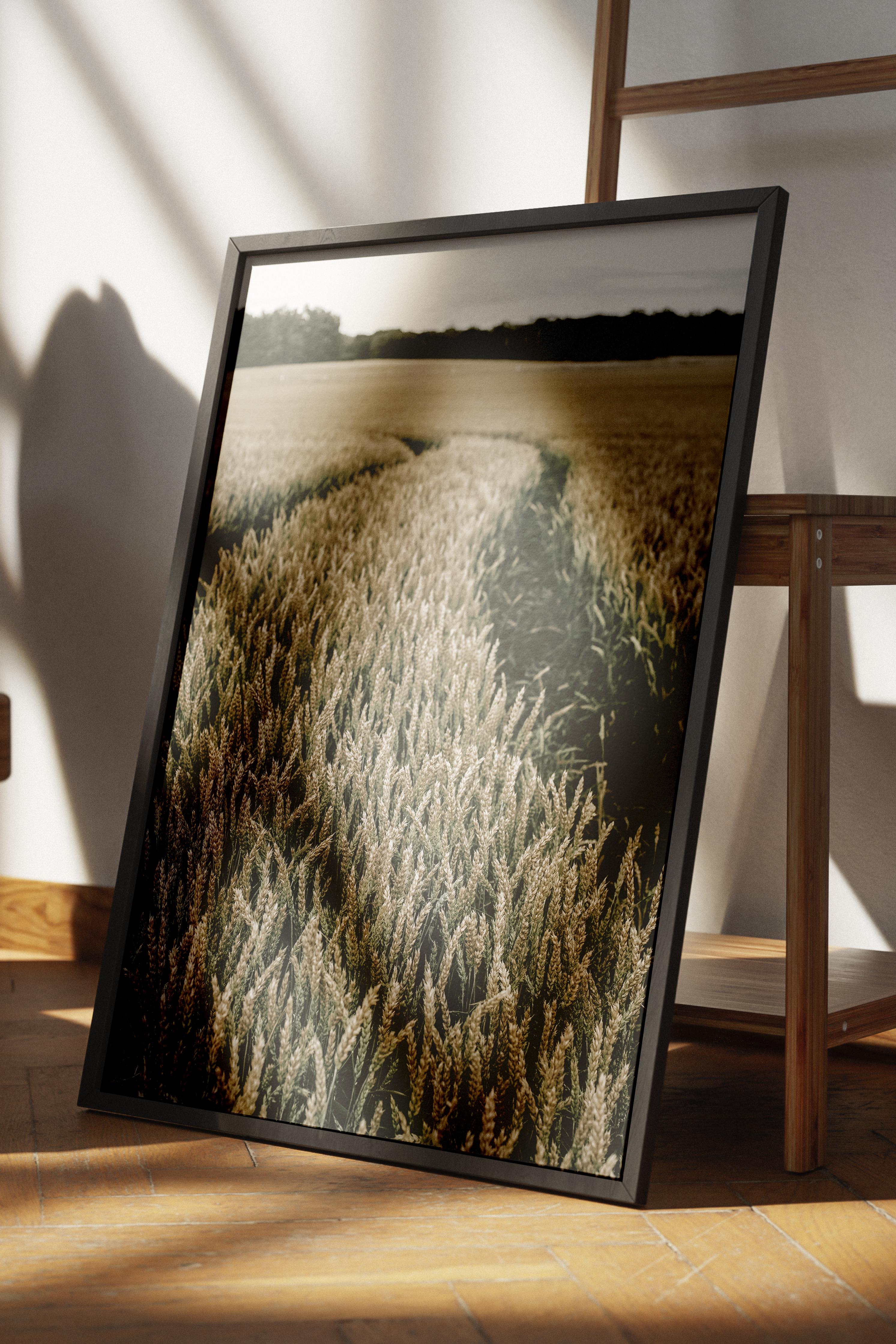 Rustic Çerçevesiz Poster, İskandinav Kahverengi Poster, NO:205 Tarla Yolu Fotoğraf, Dikey