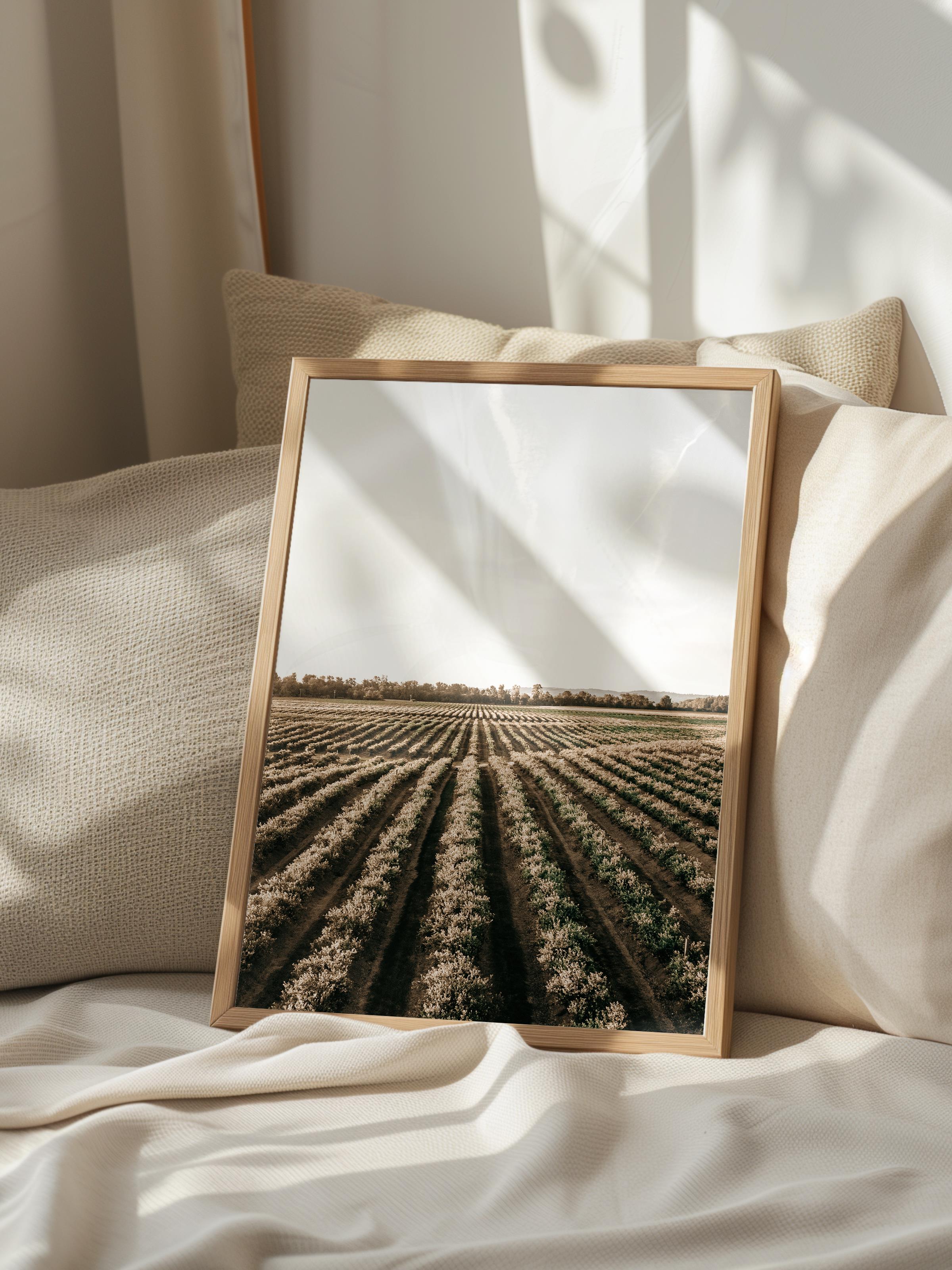 Rustic Çerçevesiz Poster, İskandinav Kahverengi Poster, NO:206 Tarla ve Gökyüzü Fotoğraf, Dikey