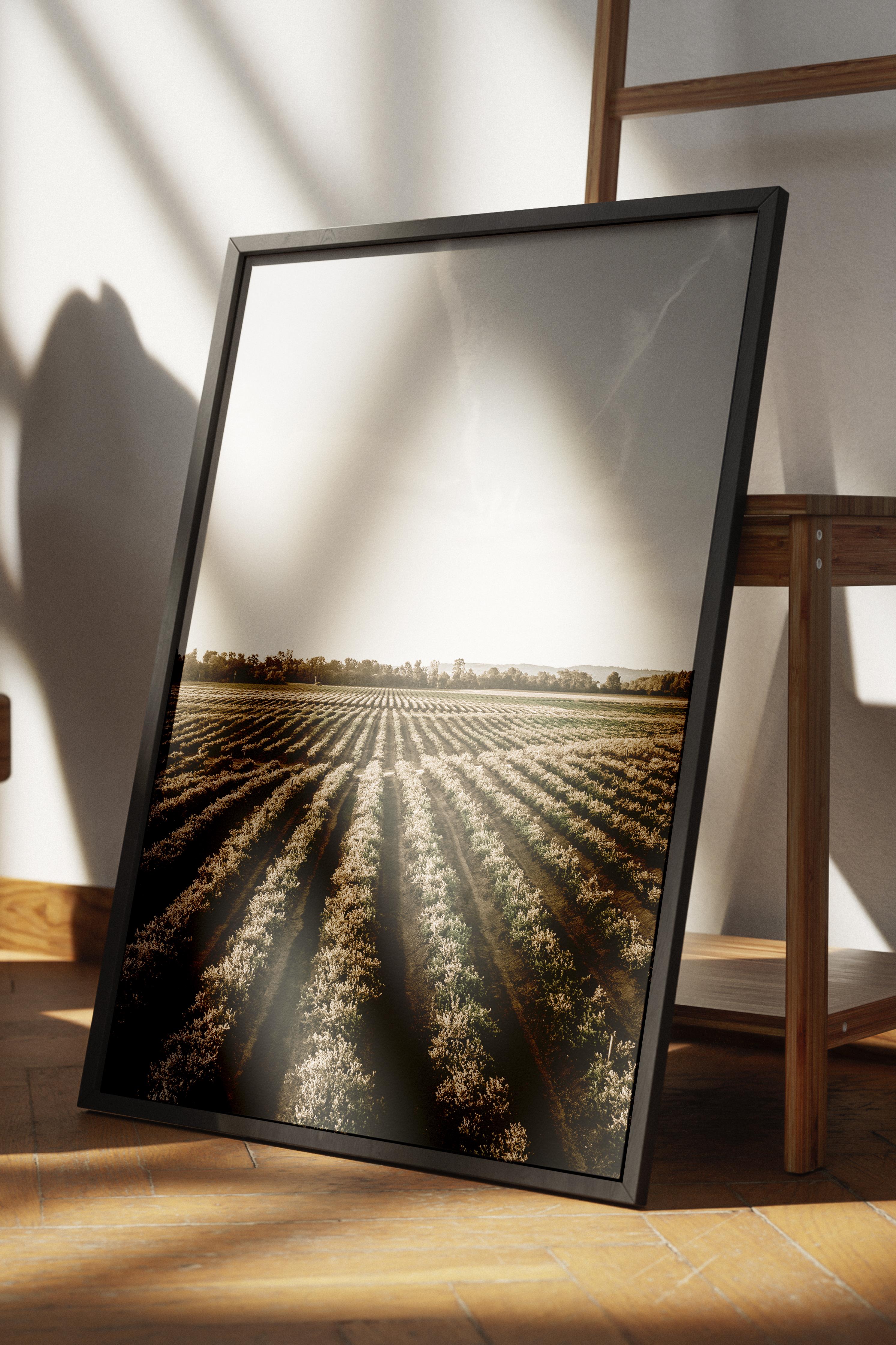 Rustic Çerçevesiz Poster, İskandinav Kahverengi Poster, NO:206 Tarla ve Gökyüzü Fotoğraf, Dikey